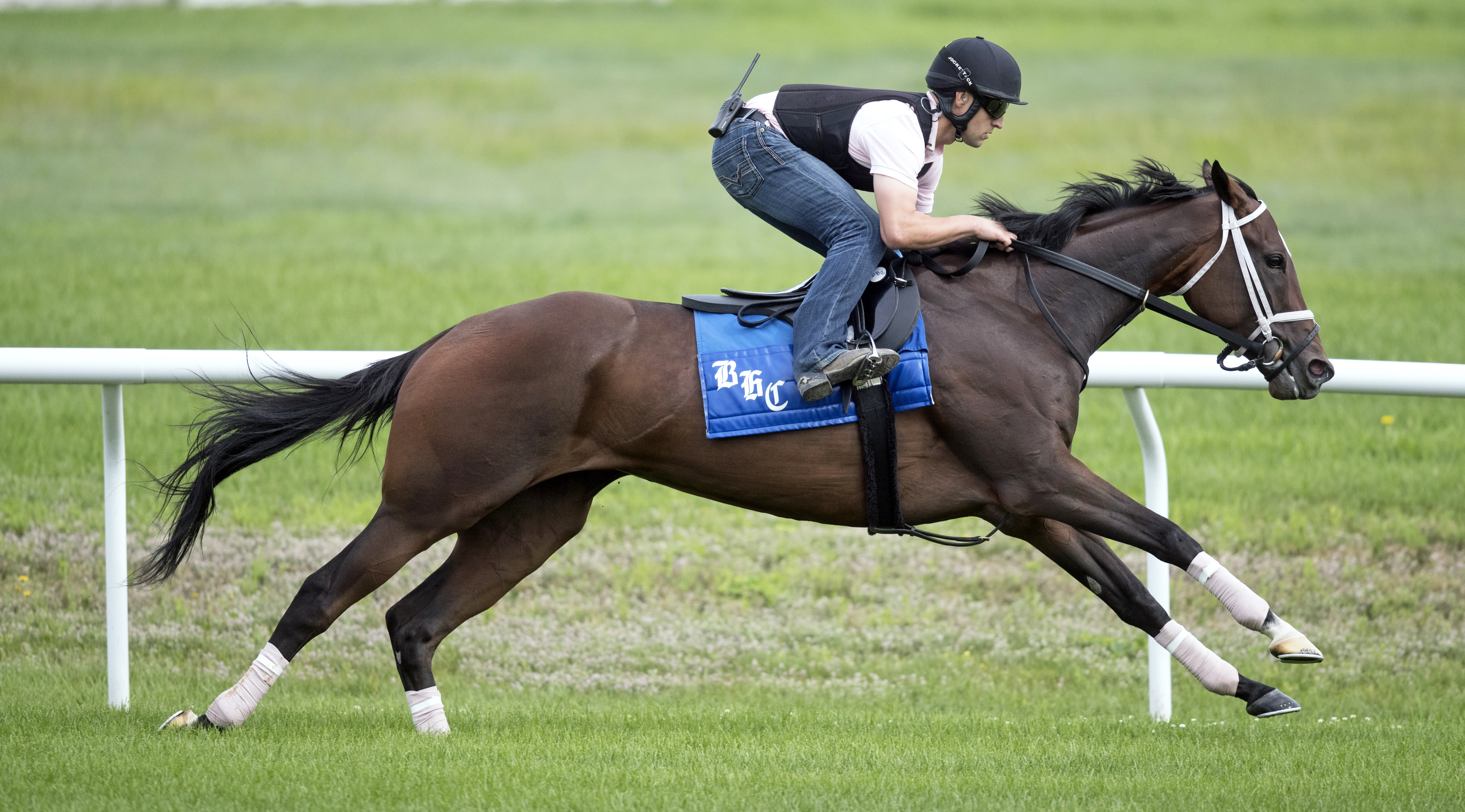 Sassy Little Lila trains at Saratoga in July 2017