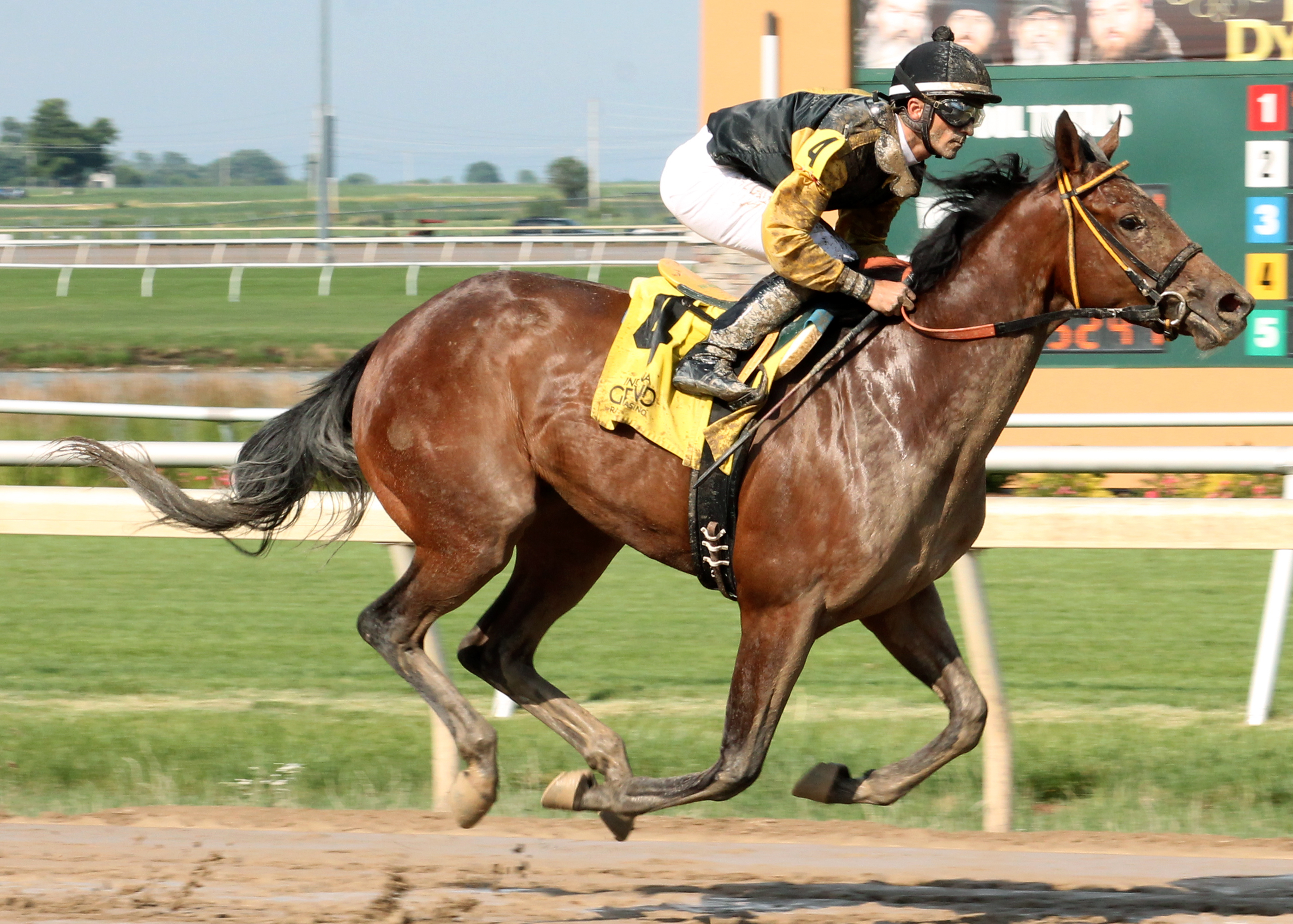 Sassy Miss Officer wins Hoosier Breeders Sophomore Fillies Stakes