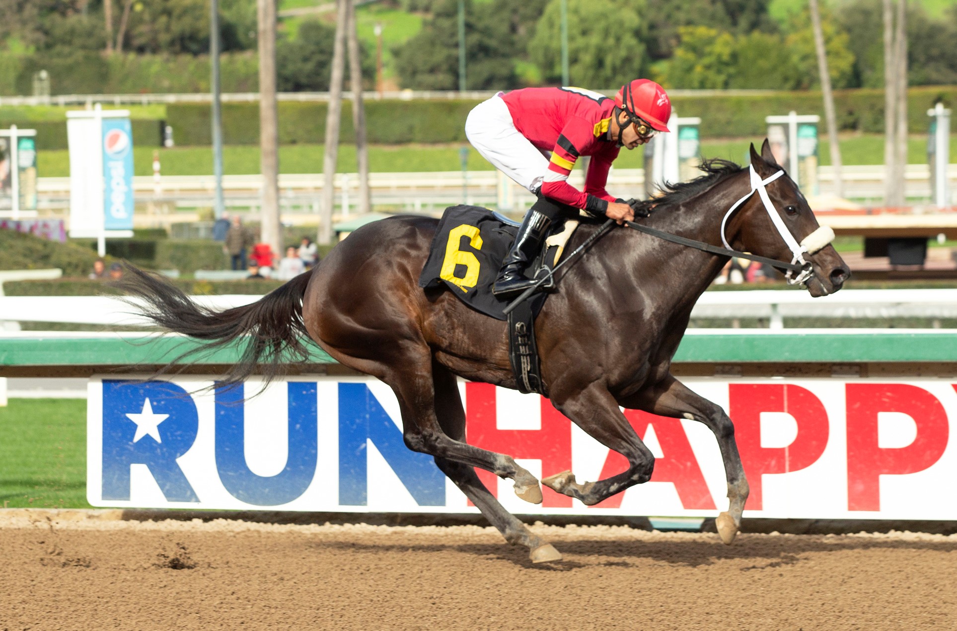 Sassy Nature wins maiden at SA Jan 7 2023
