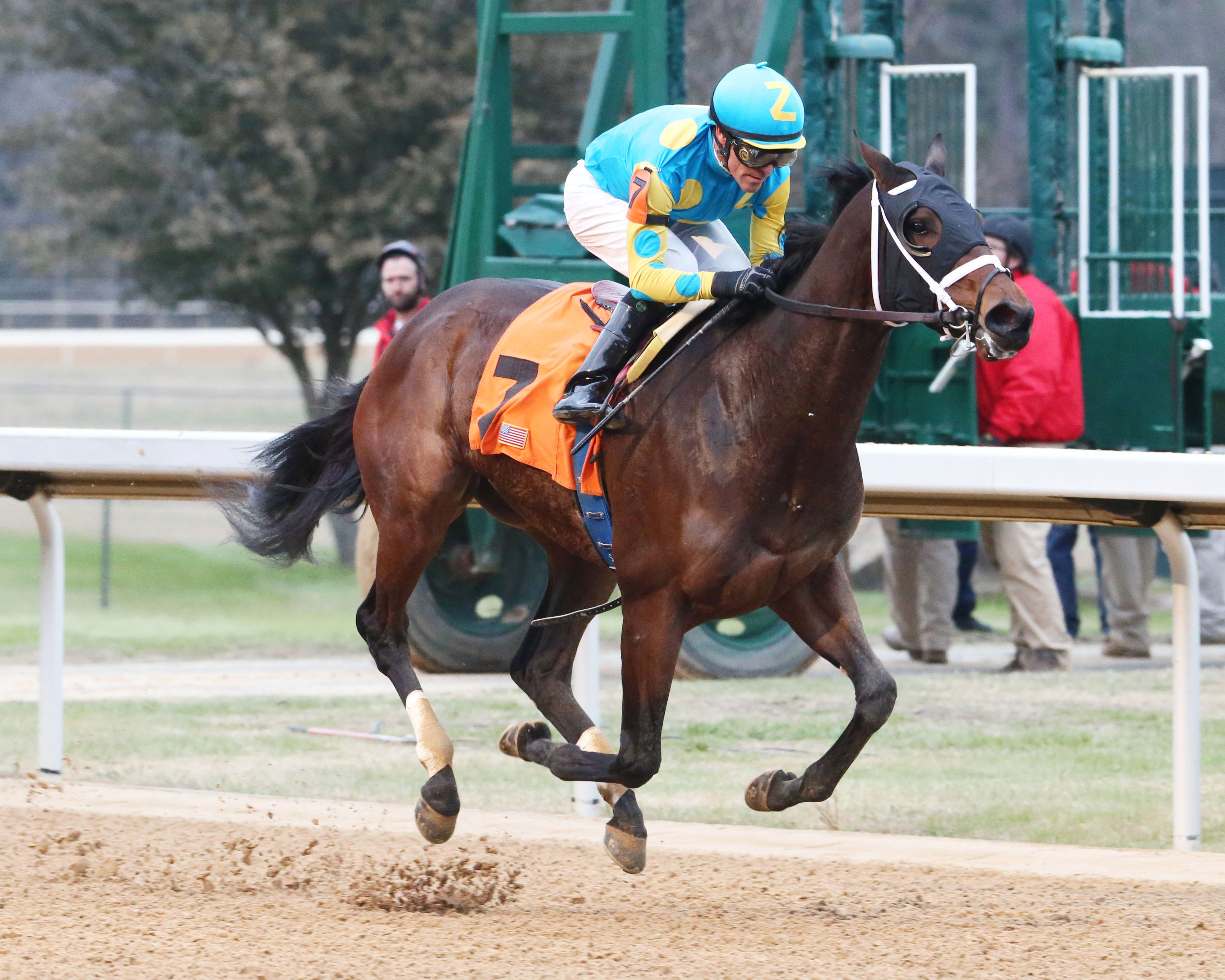 Sassy Sienna wins a Jan. 15 allowance