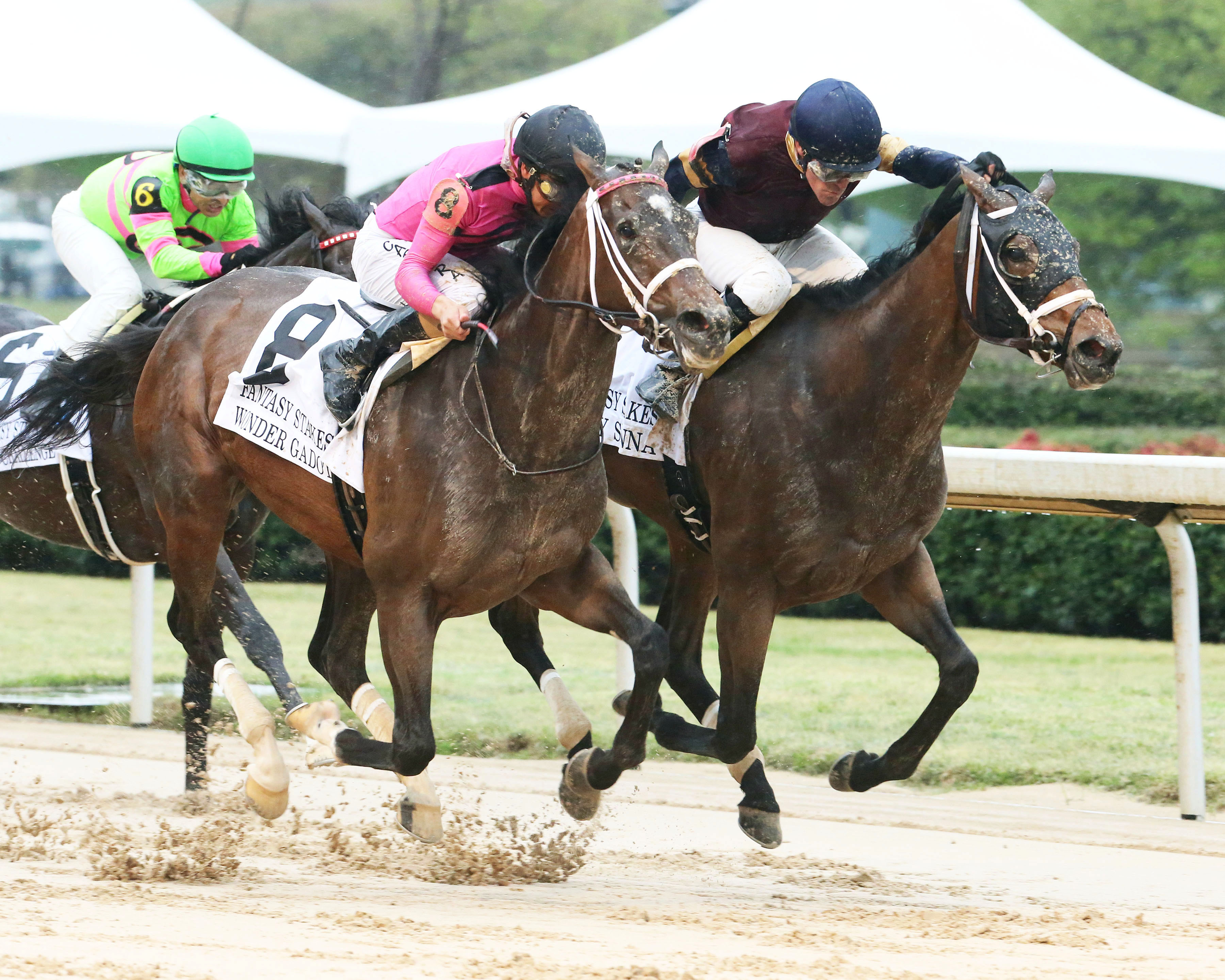 Sassy Sienna wins the 2018 Fantasy Stakes