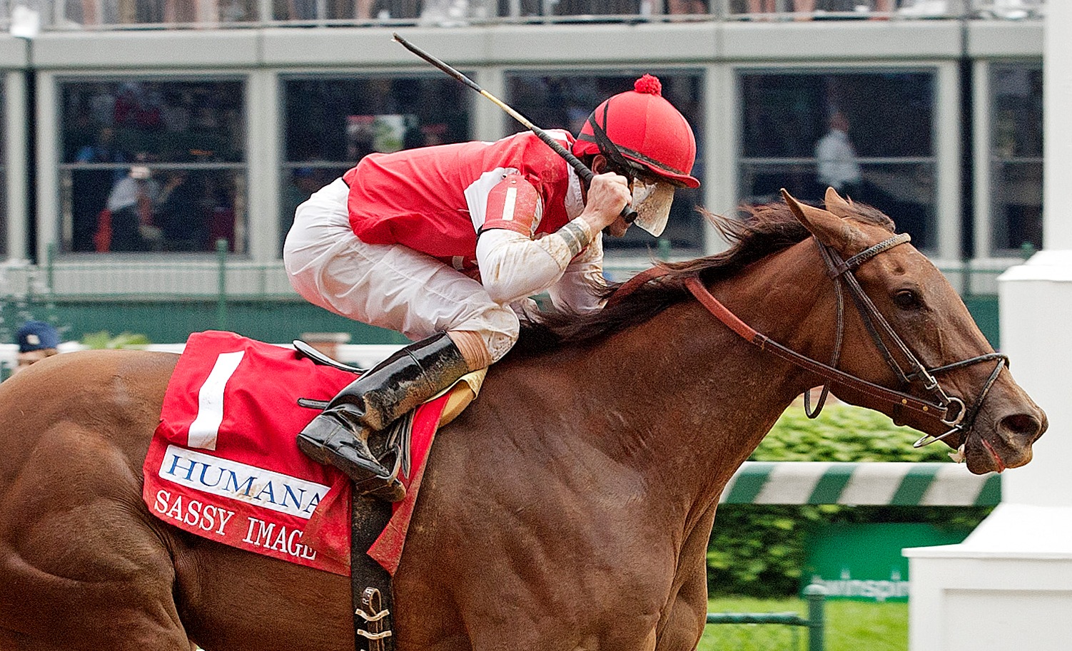 Sassy Image/Humana Distaff