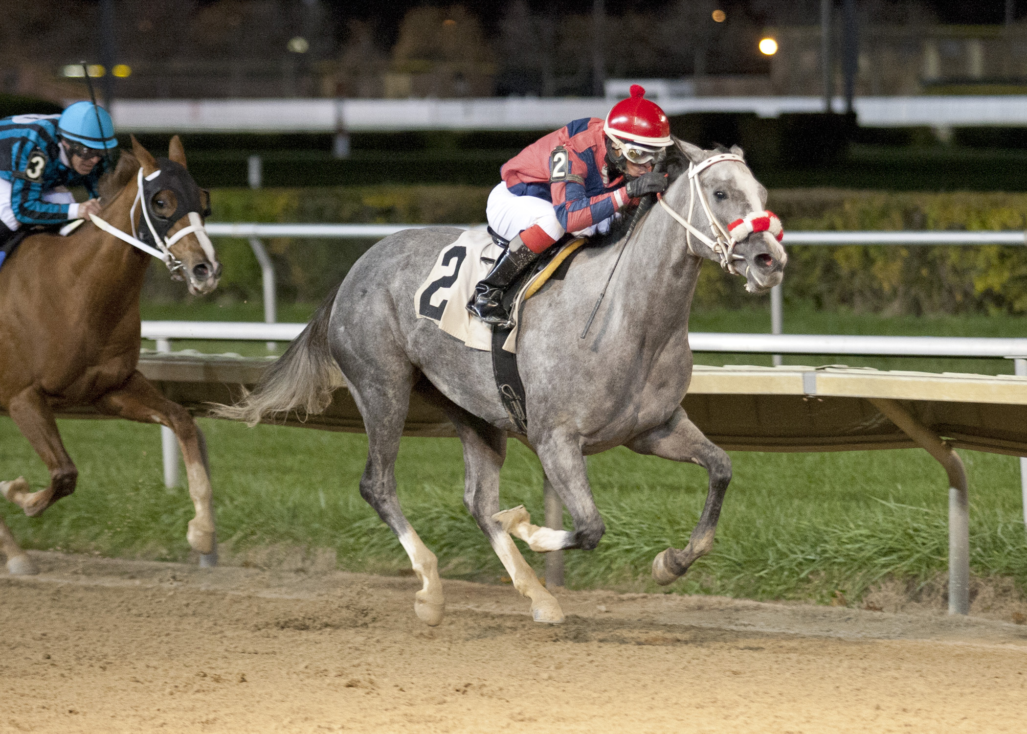 Sasy Ms Elizabeth wins the Showtime Deb Stakes
