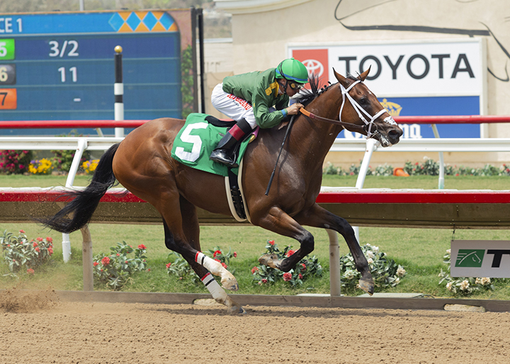 Satanta wins a July 25 maiden race at Del Marj
