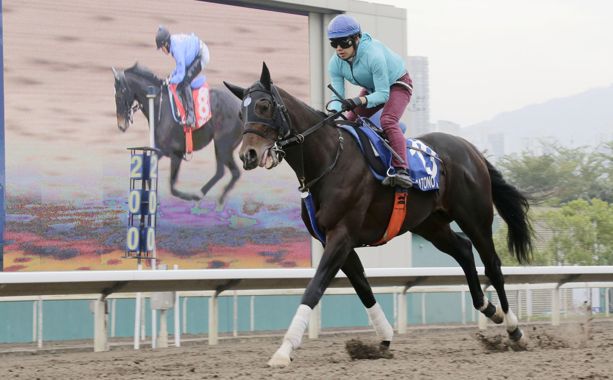 Santono Aladdin trains at Sha Tin on Dec. 7