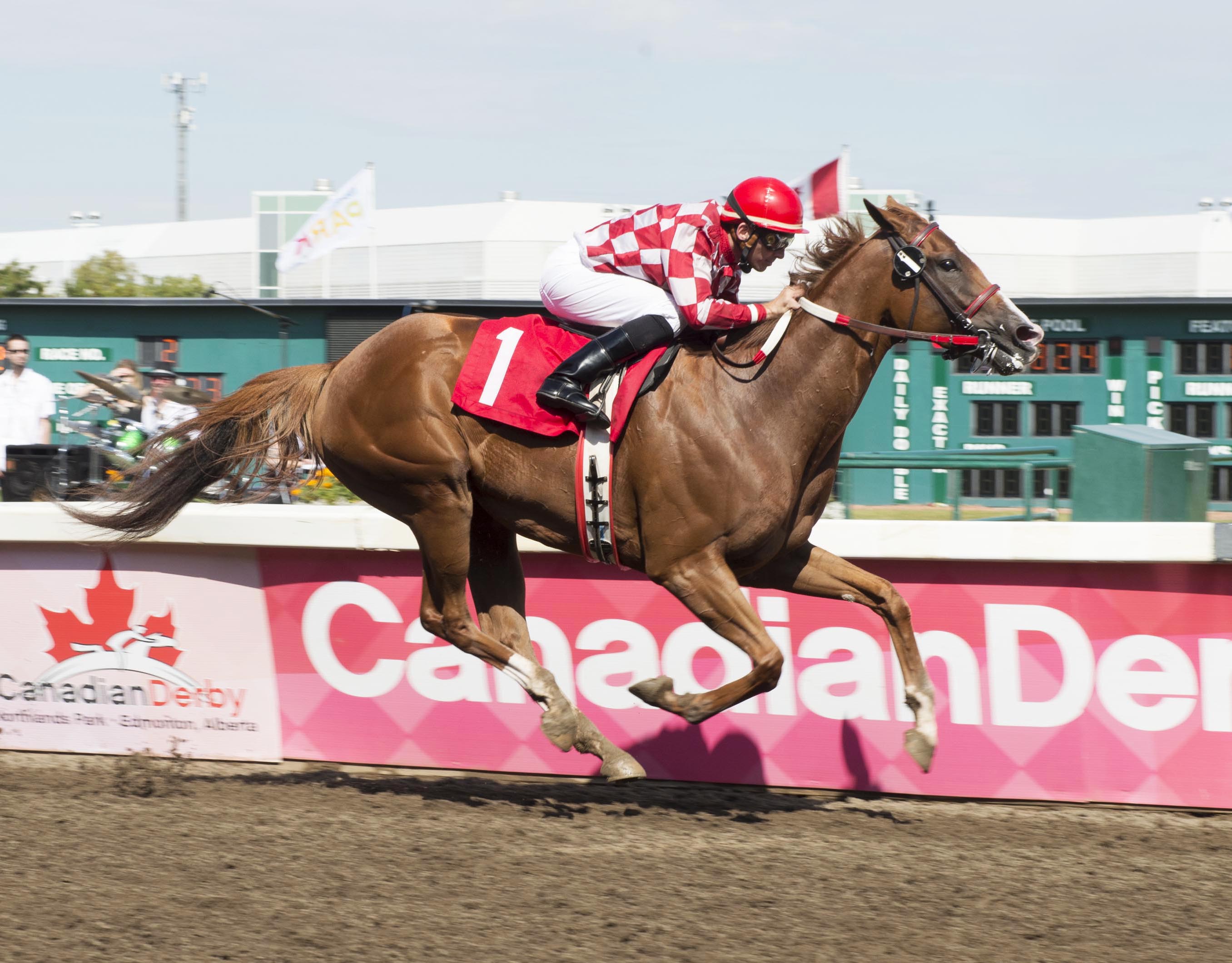 Saturday Nite Ride wins the City of Edmonton Distaff Handicap