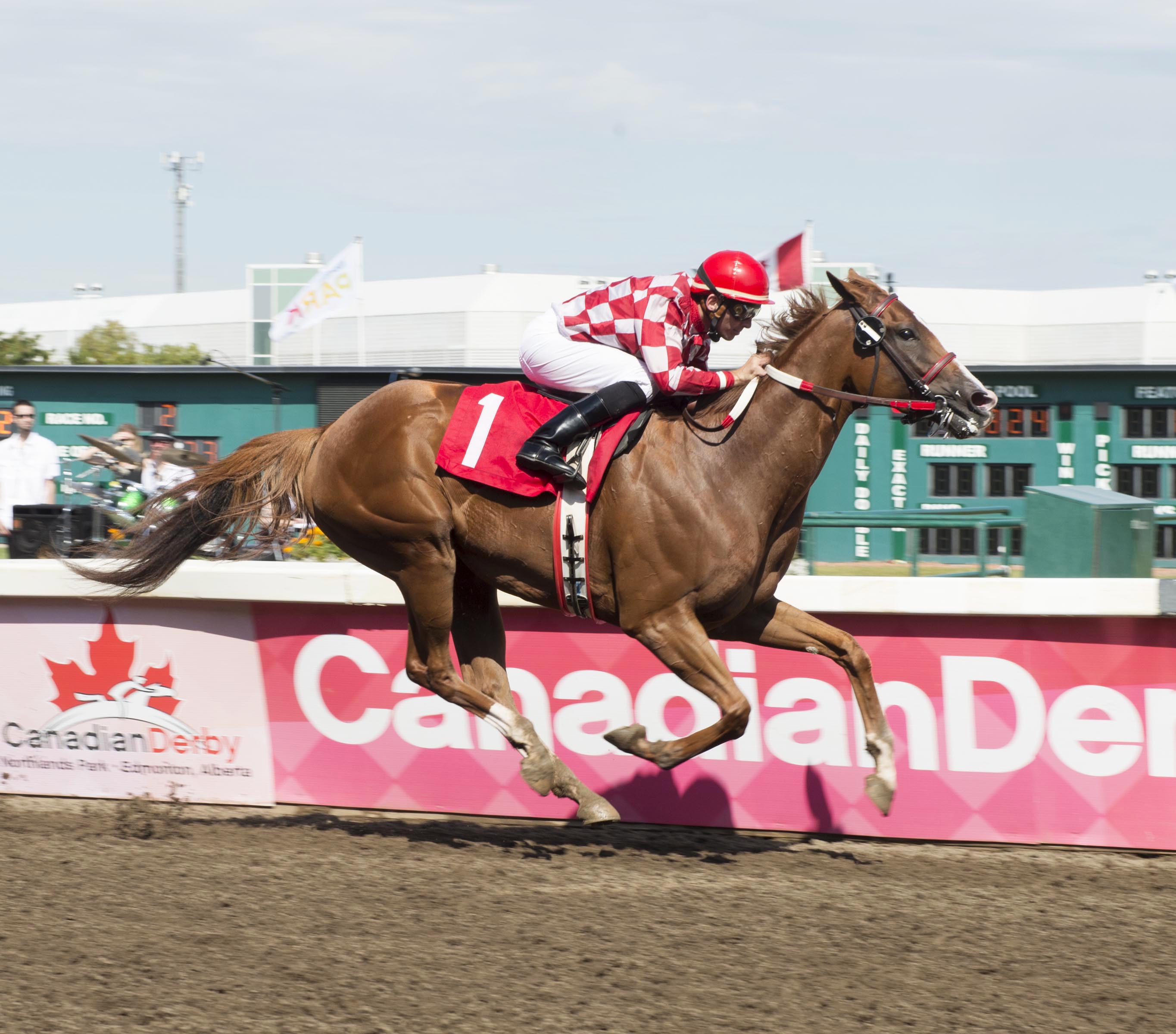 Saturday Nite Ride wins the City of Edmonton Distaff Handicap