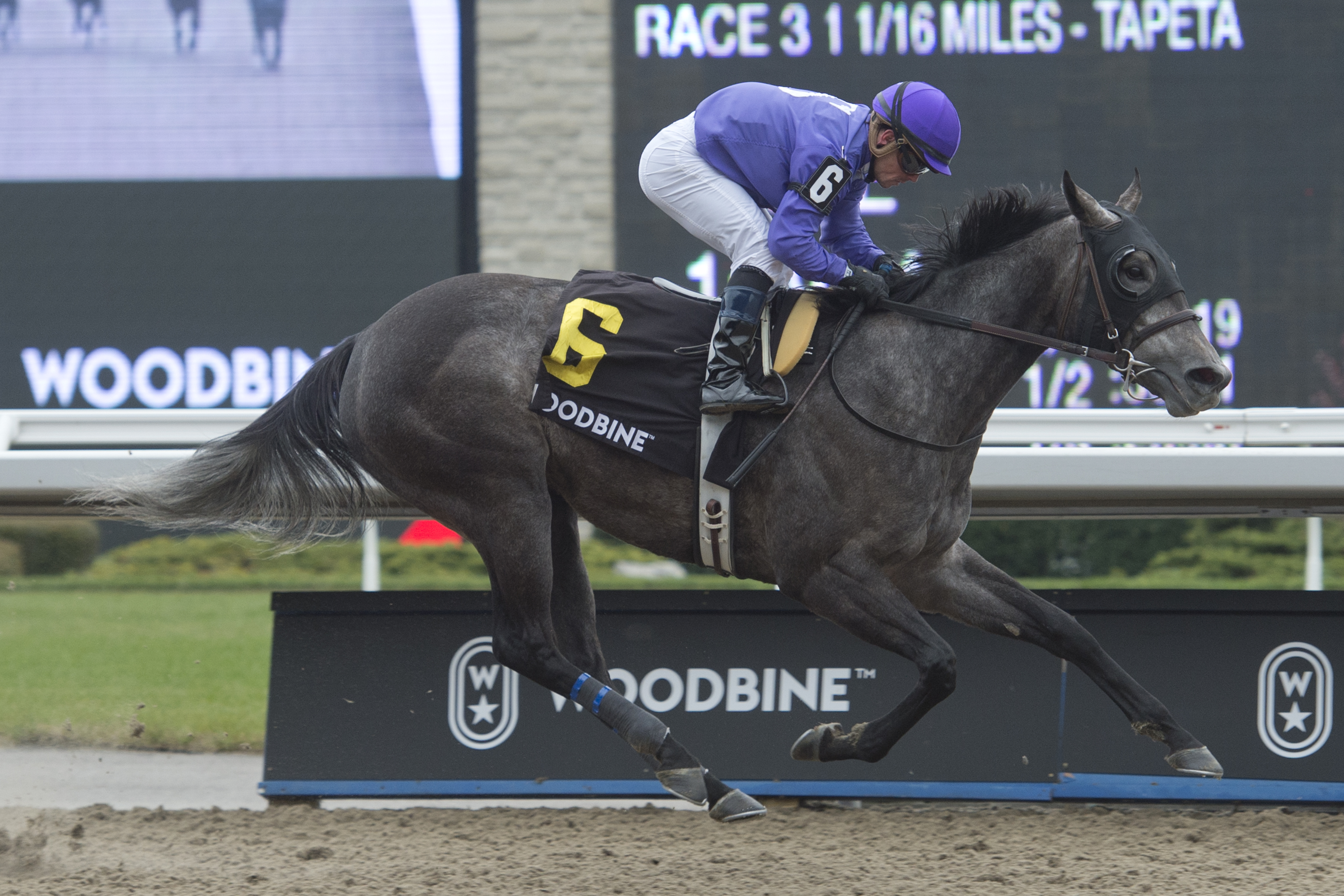 Sav wins the 2019 La Prevoyante Stakes