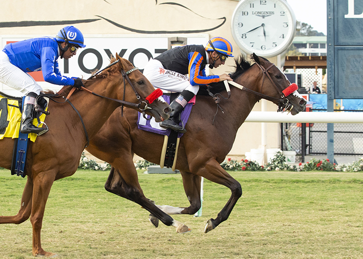 Savvy Gal wins an Aug. 11 maiden race at Del Mar
