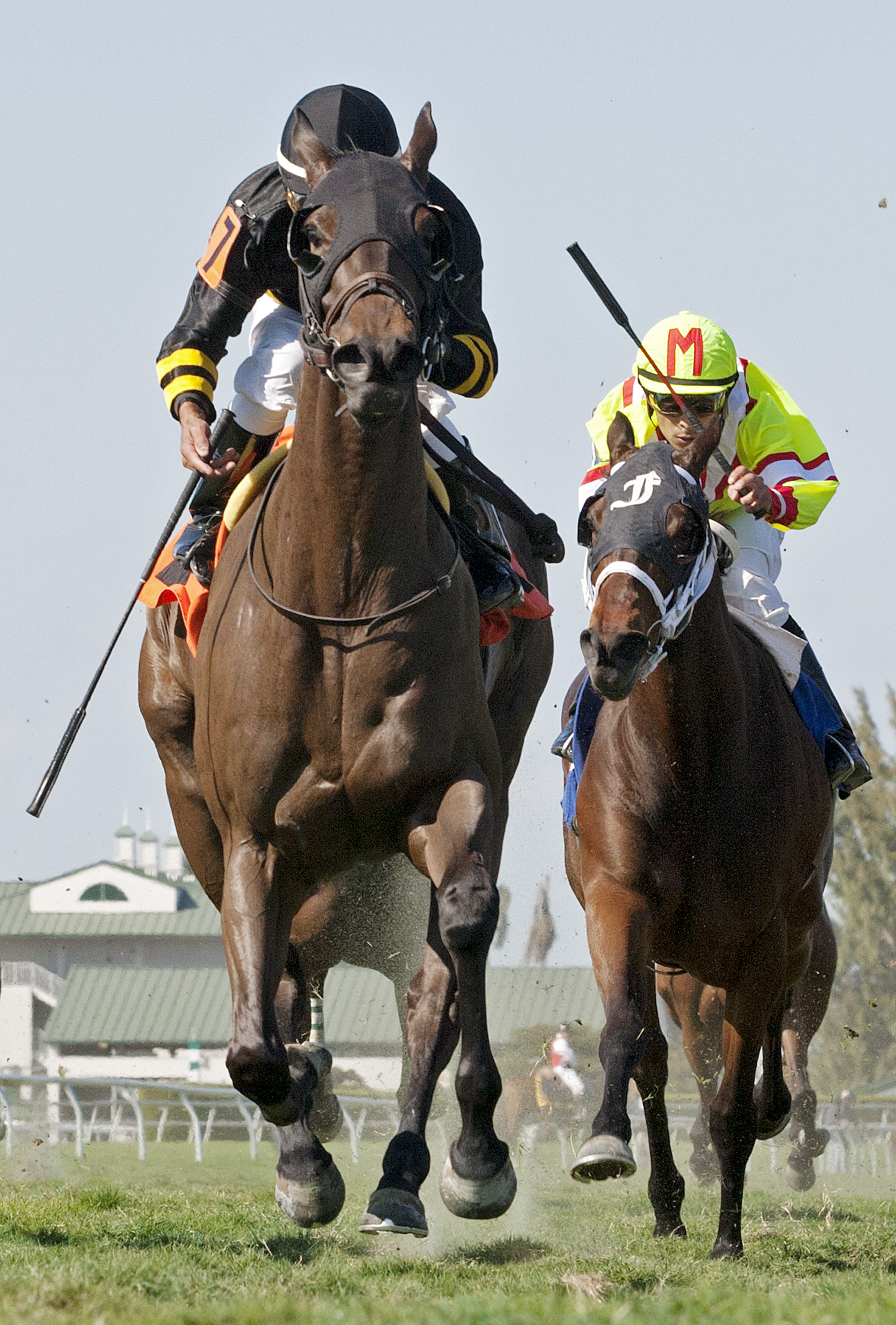 Savvy Hester wins an optional claiming race