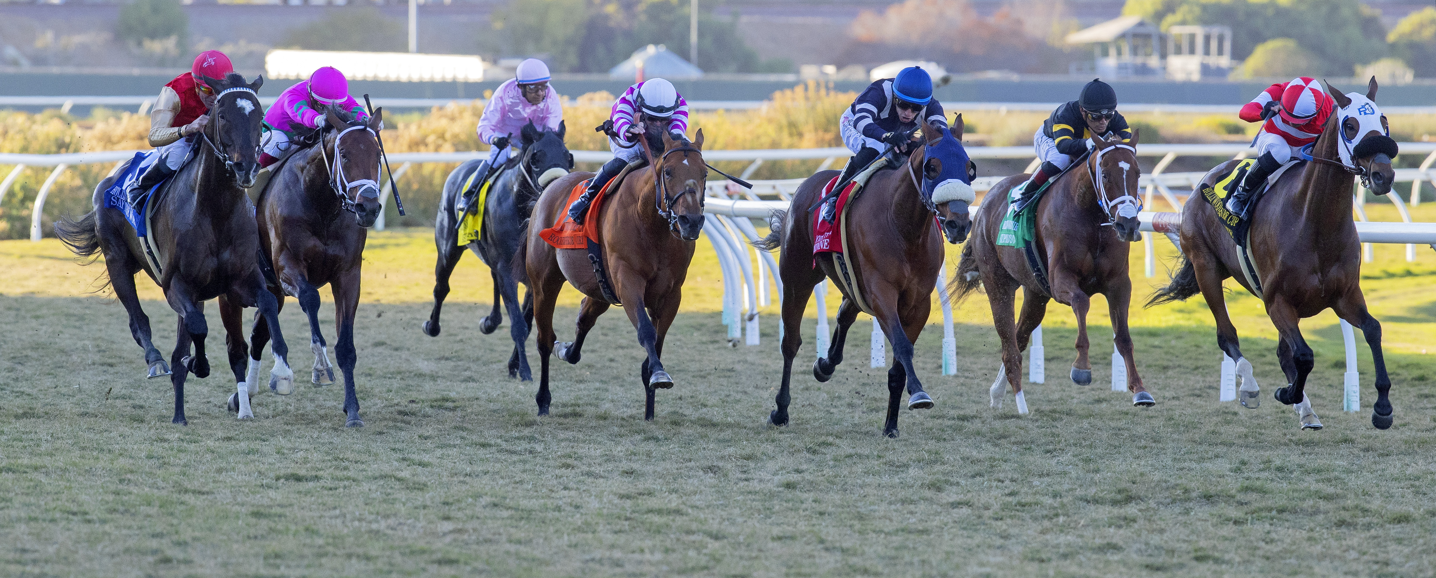 Say the Word, Hollywood Turf Cup