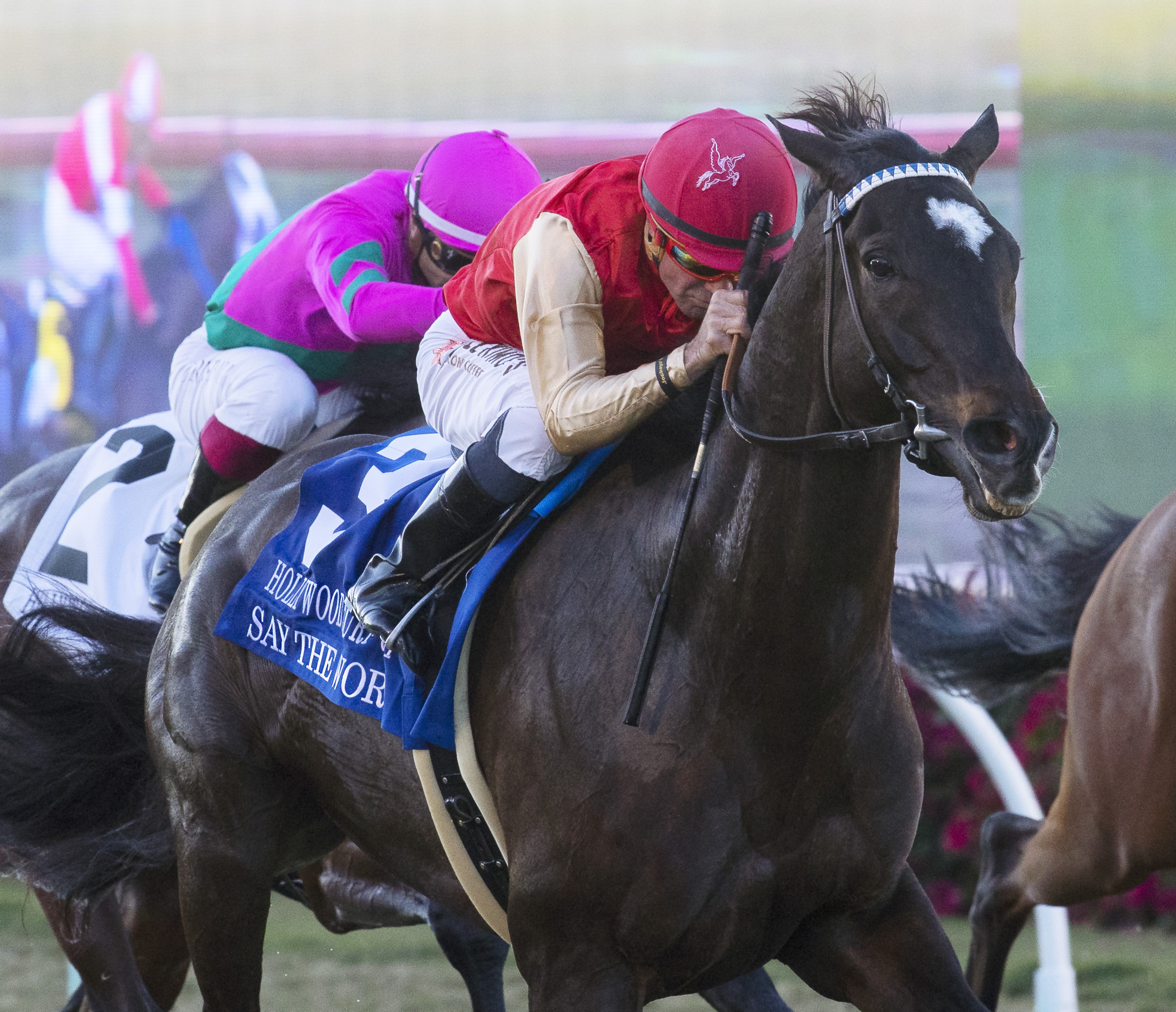 Say the Word - Hollywood Turf Cup 2021