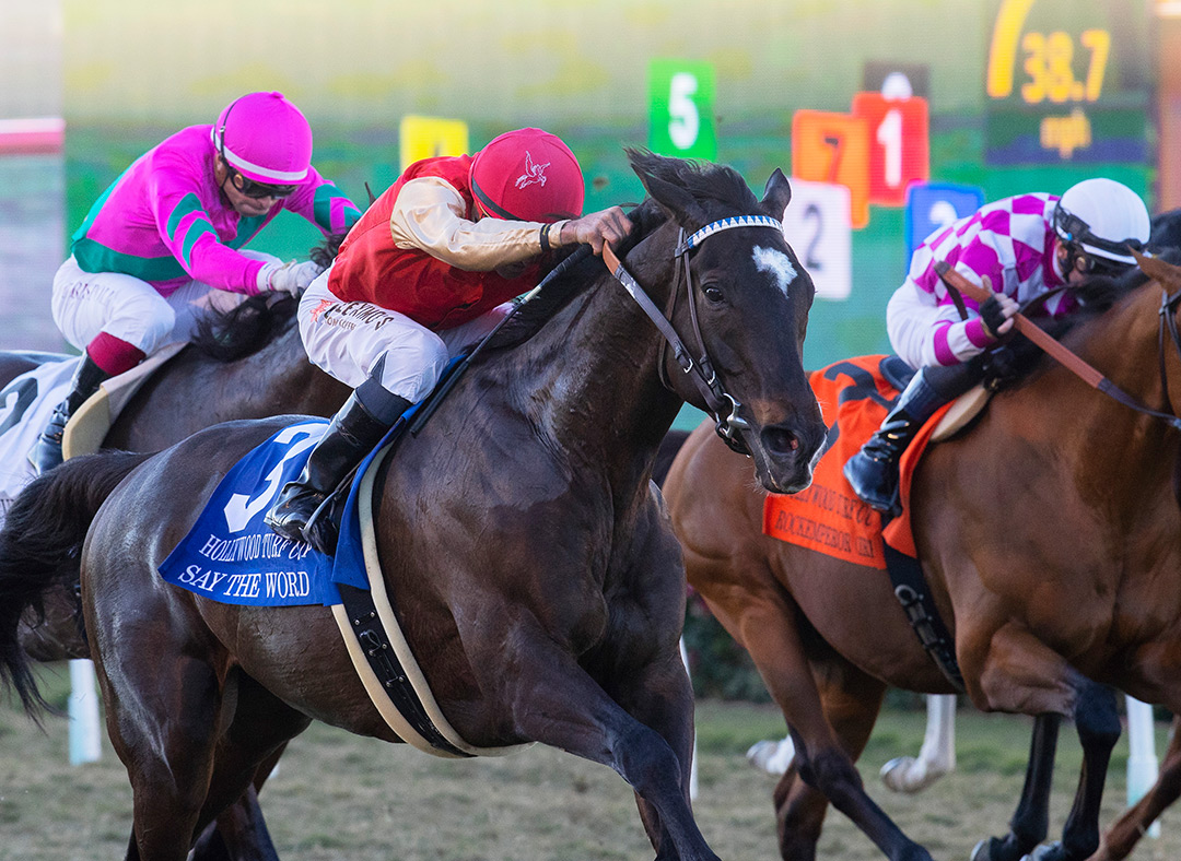 Say the Word wins the 2021 Hollywood Turf Cup at Del Mar