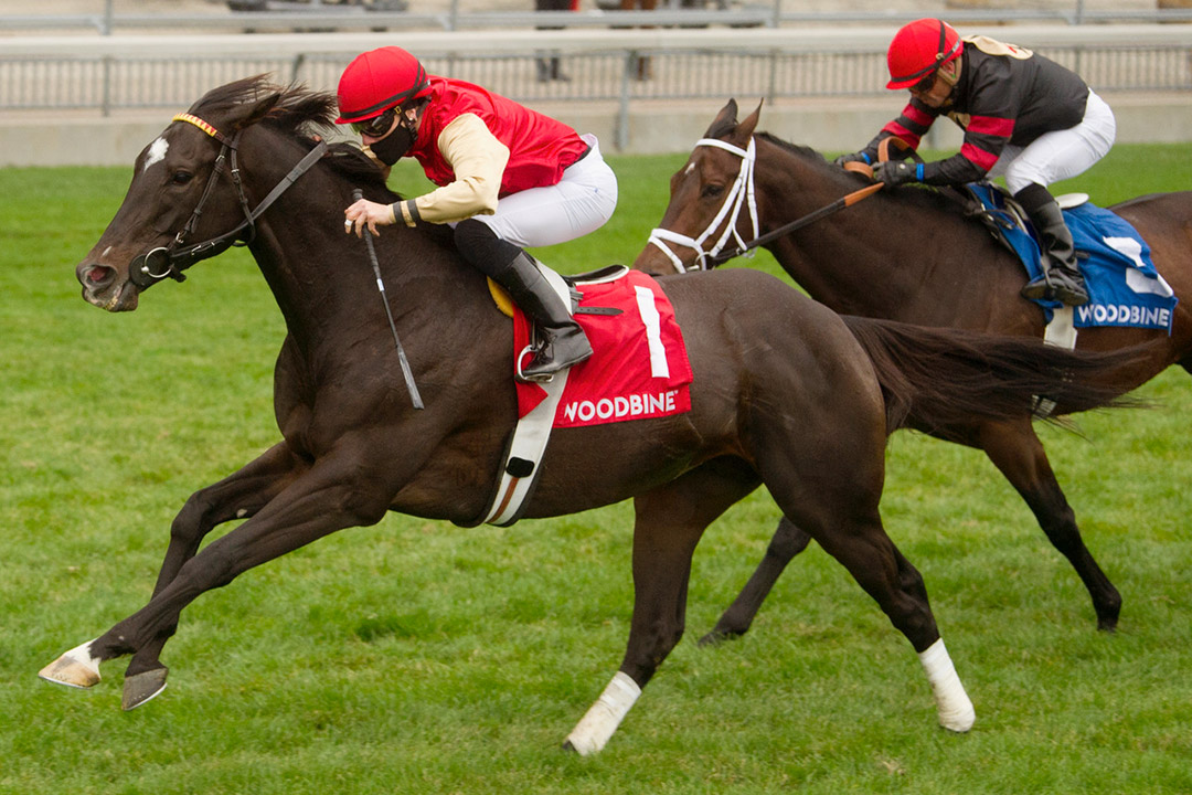 Say the Word wins the 2020 Northern Dancer Turf Stakes at Woodbine