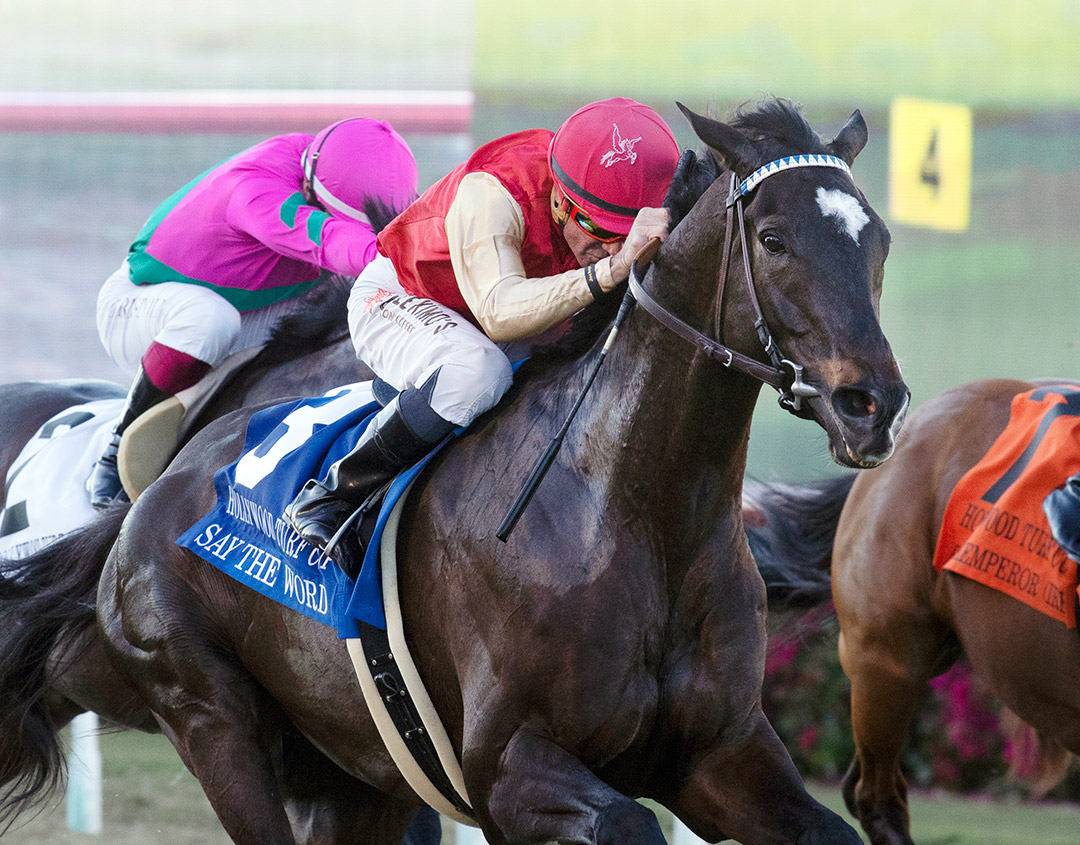 Say the Word wins the 2021 Hollywood Turf Cup at Del Mar