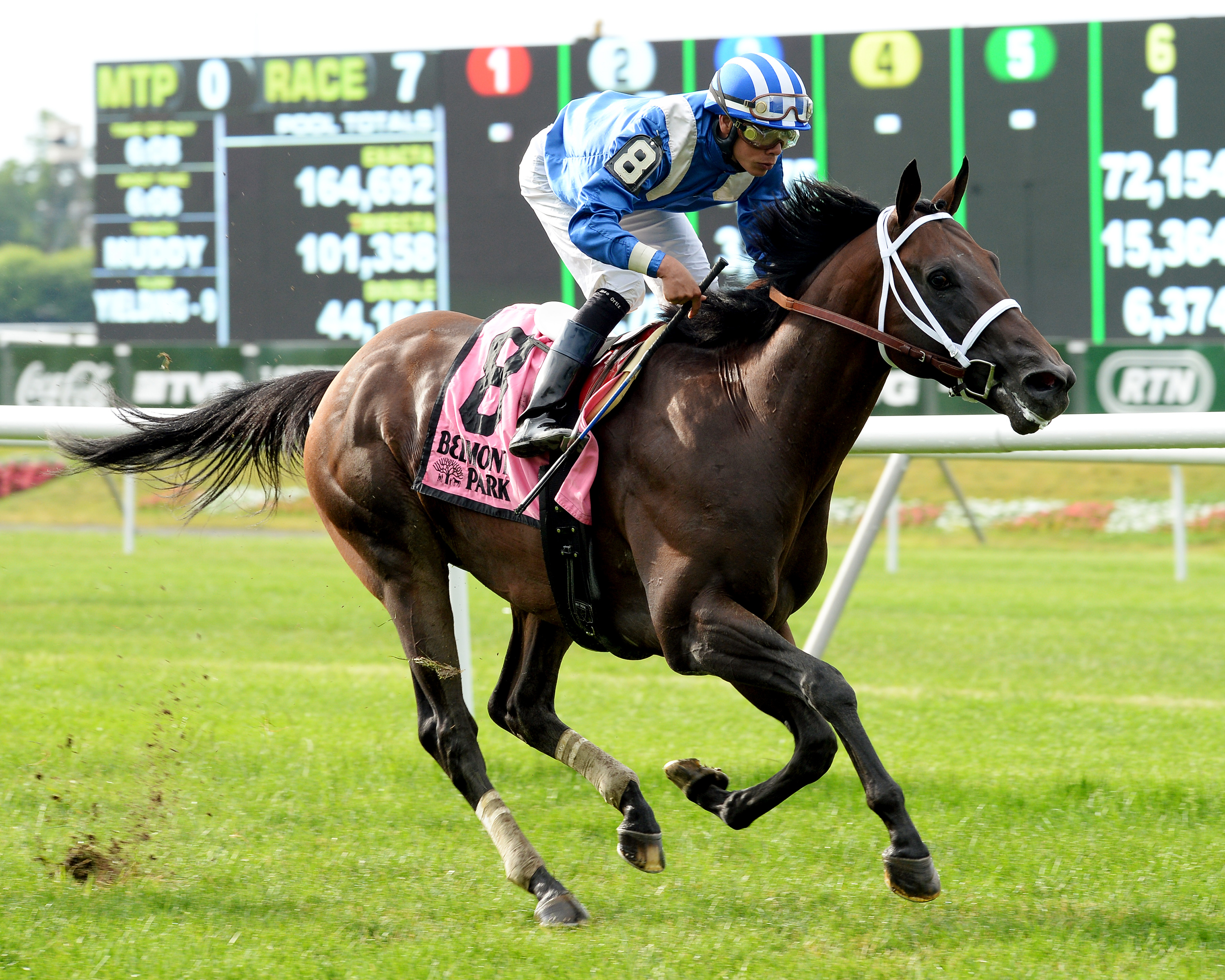 Sayaad wins the Forbidden Apple