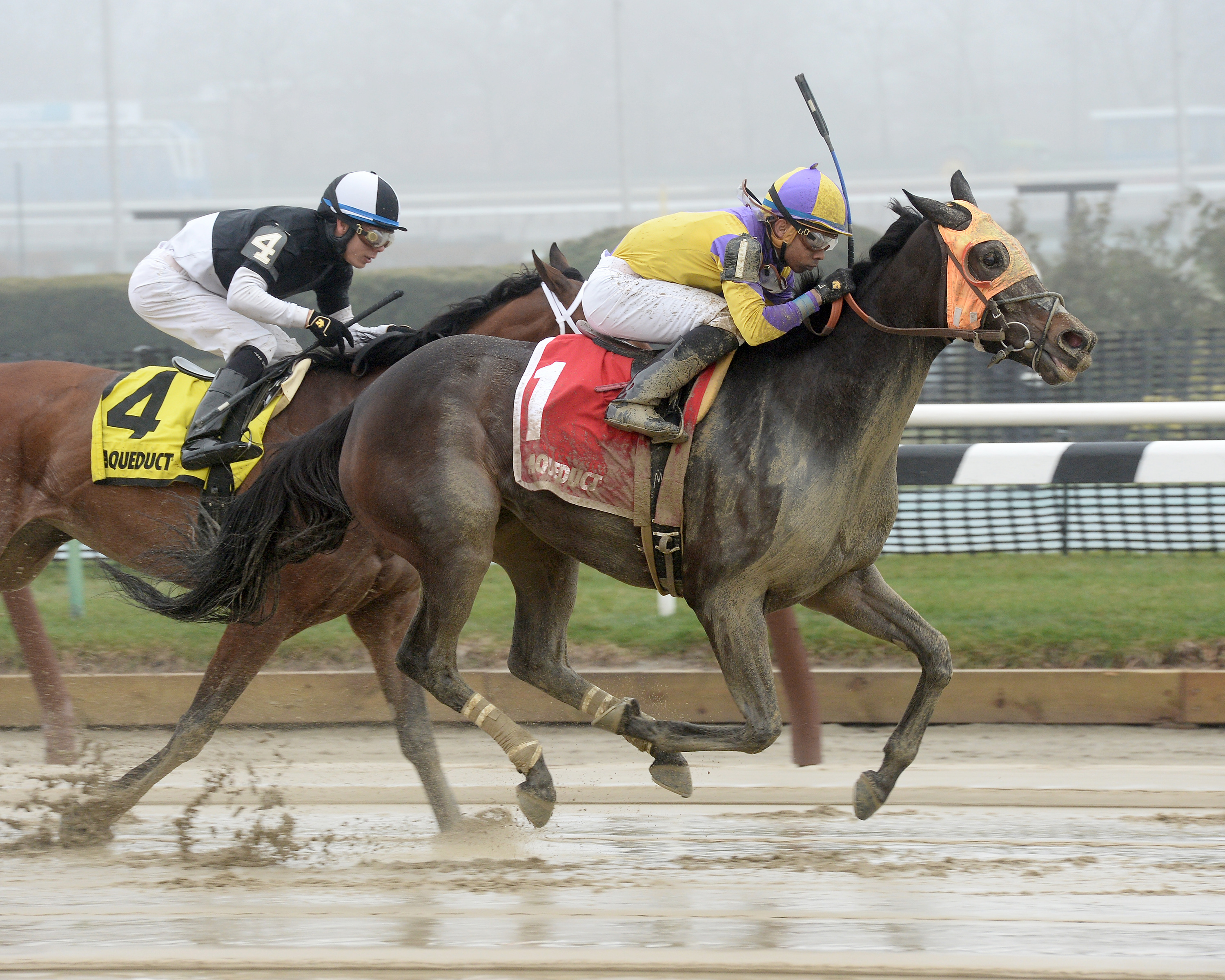 Saythreehailmary's wins the Ladies Handicap