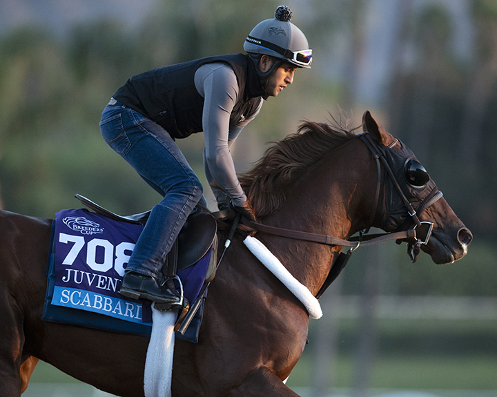 Scabbard trains at Santa Anita in October 2019