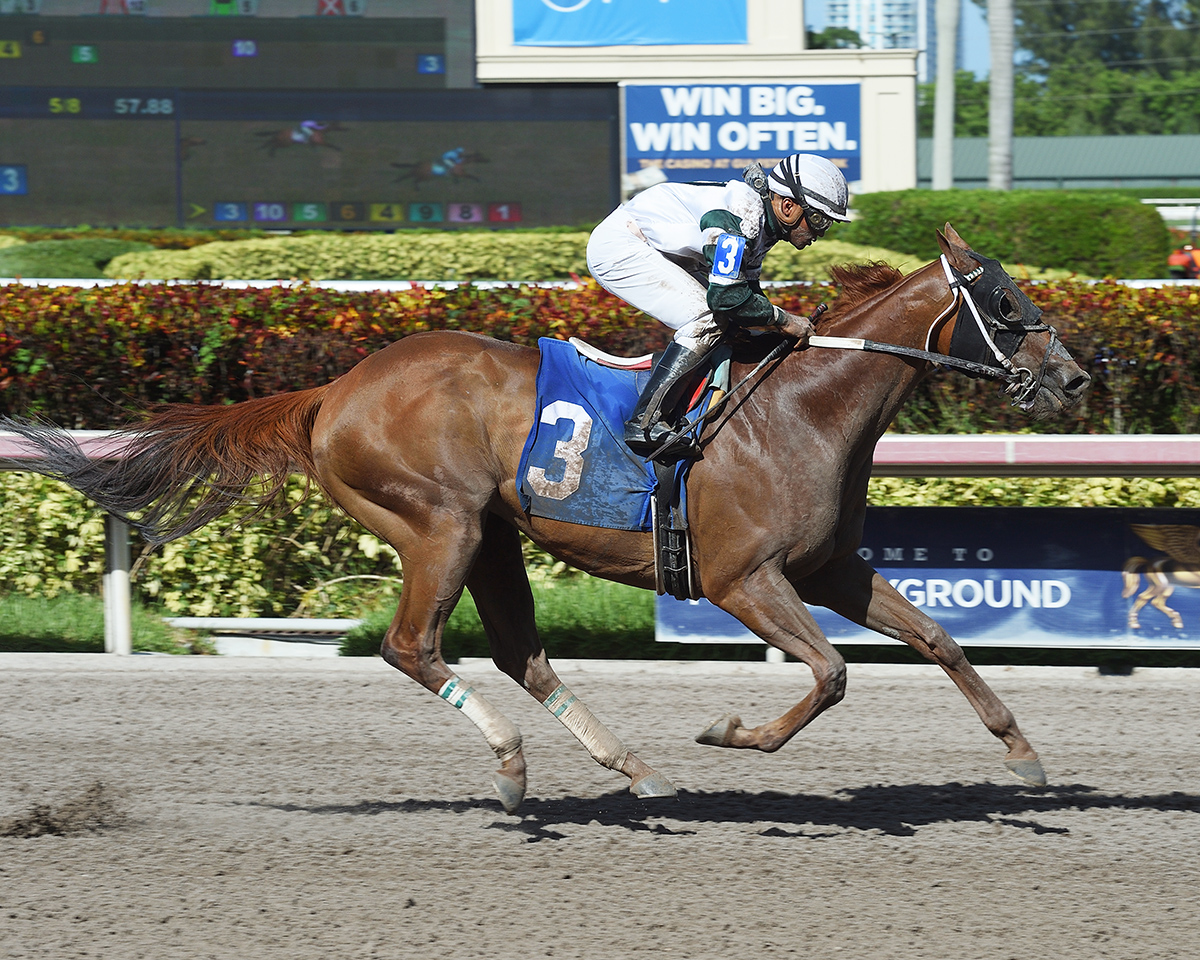 Scam wins a July 1 claiming race at Gulfstream