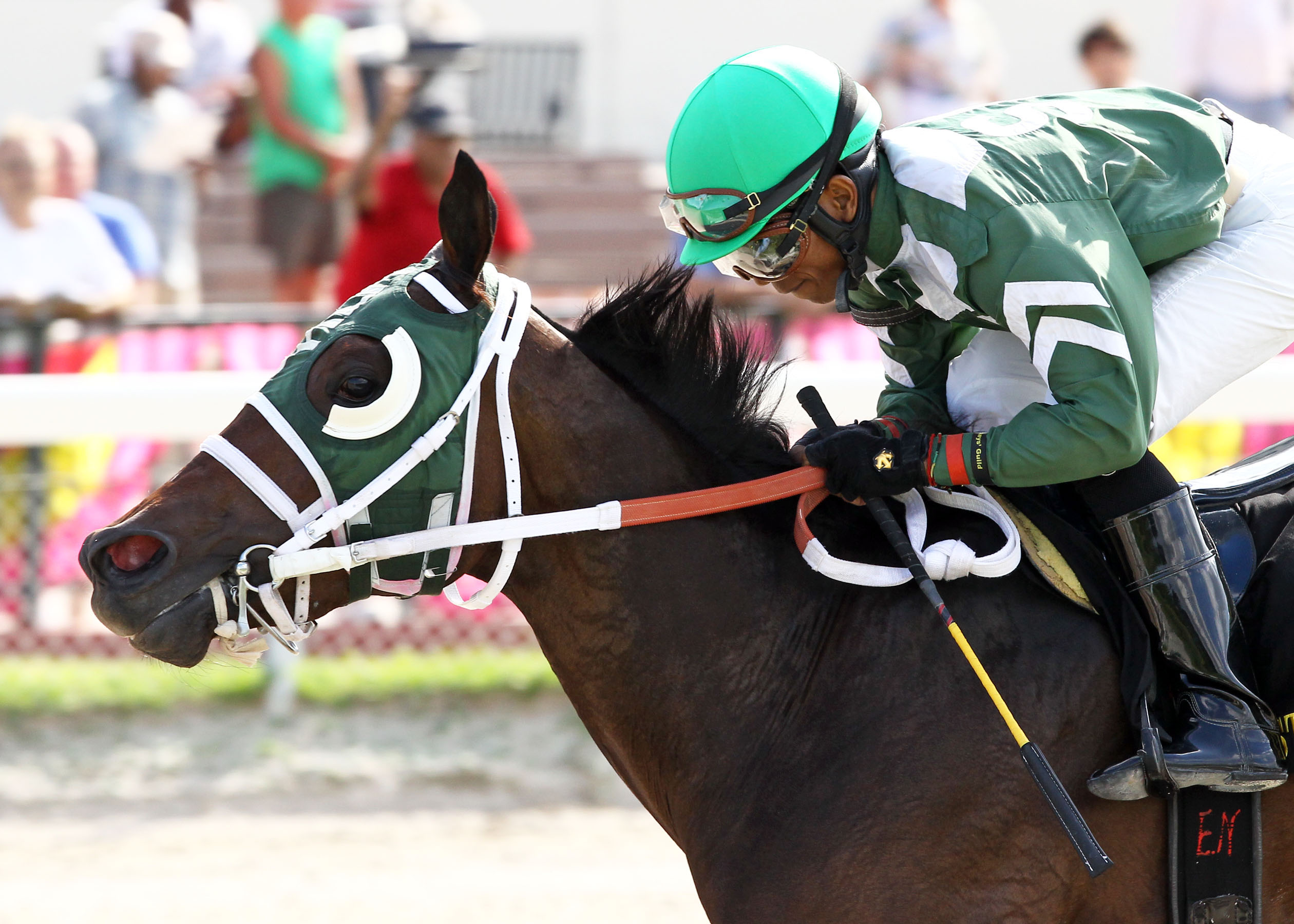 Scandalous Act wins the My Dear Girl
