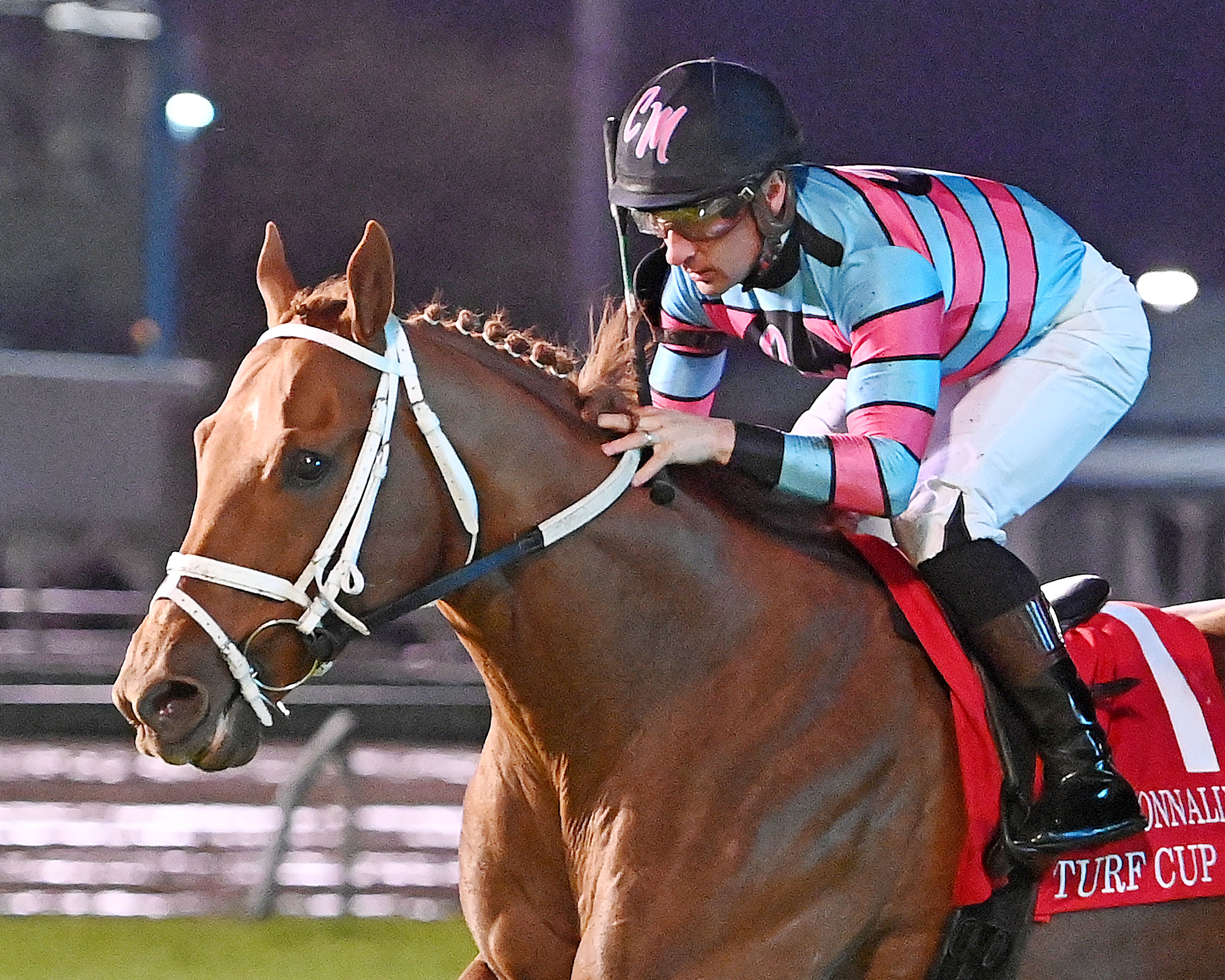 Scarlet Fusion/Connally Turf Cup