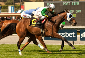Scarlet Strike Providencia Stakes 4-6-13