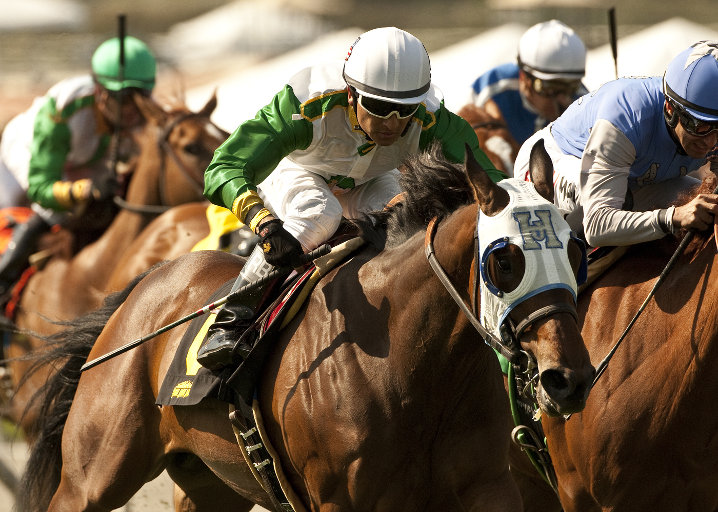 Scarlet Strike, Providencia Stakes