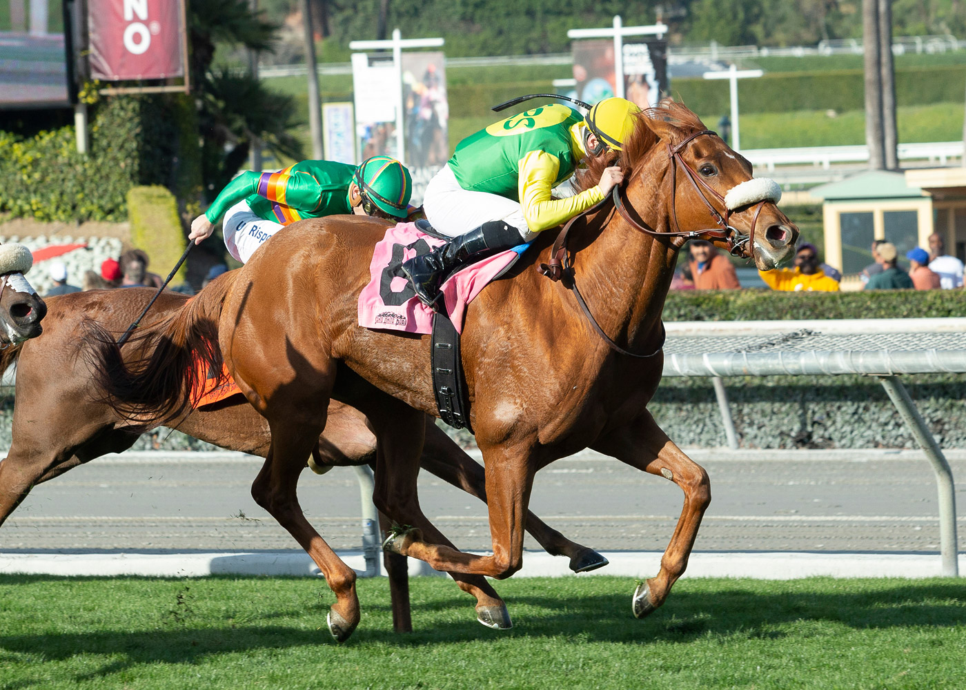 Scarlet Heat wins a January 2020 maiden race at Santa Anita