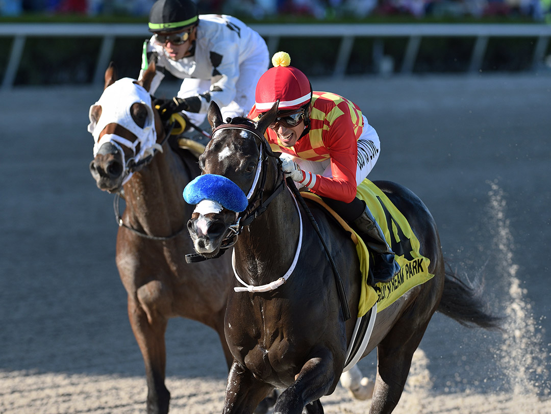 Scarto wins the 2020 American Fabius Stakes at Gulfstream Park