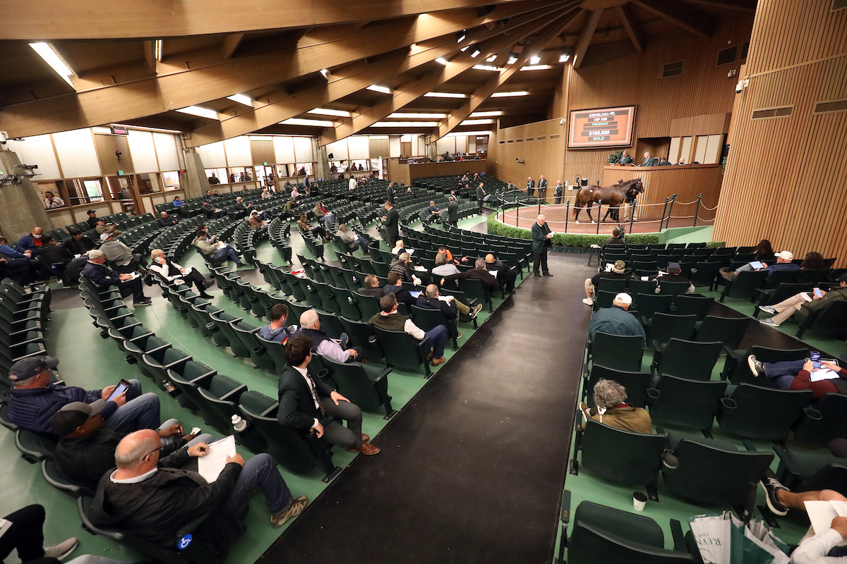 Keeneland Sales - Noviembre 2021