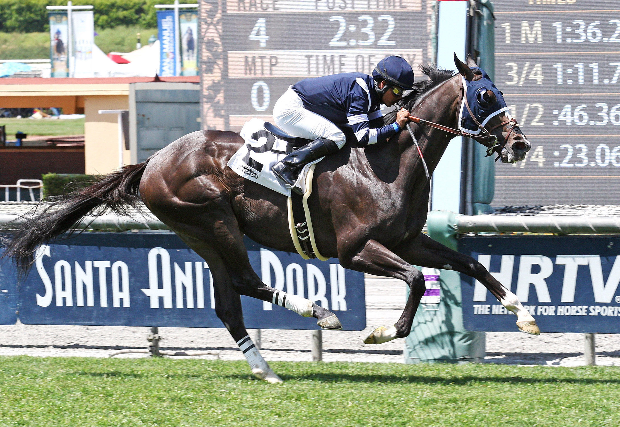 Schoolofhardrocks wins an allowance