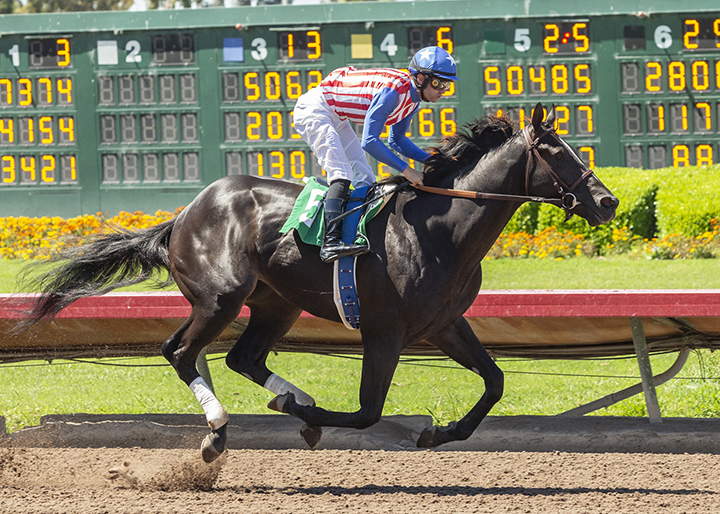 Schrodinger wins a June 30 maiden race