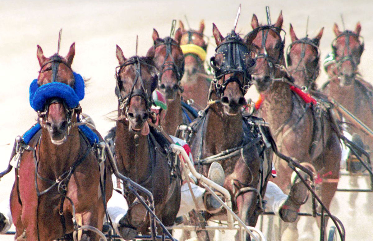 Scioto Downs