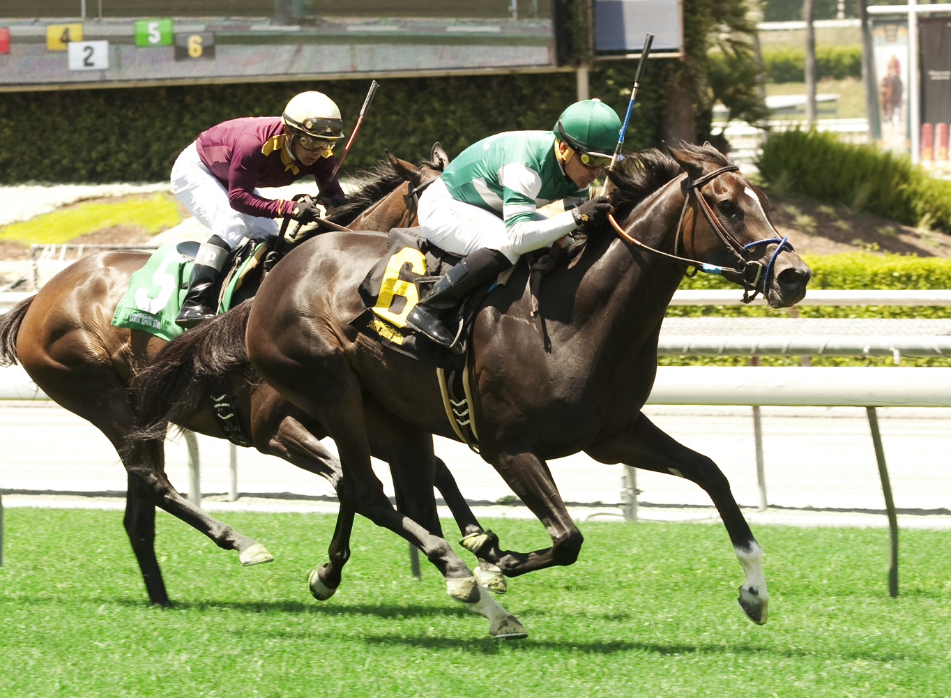 Scooter Bird wins a June 19 claiming race