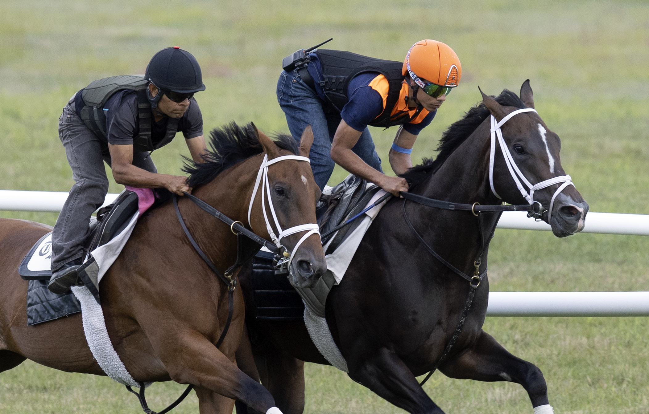 Scotish Star (left) and Wit work at Saratoga July 30 2022