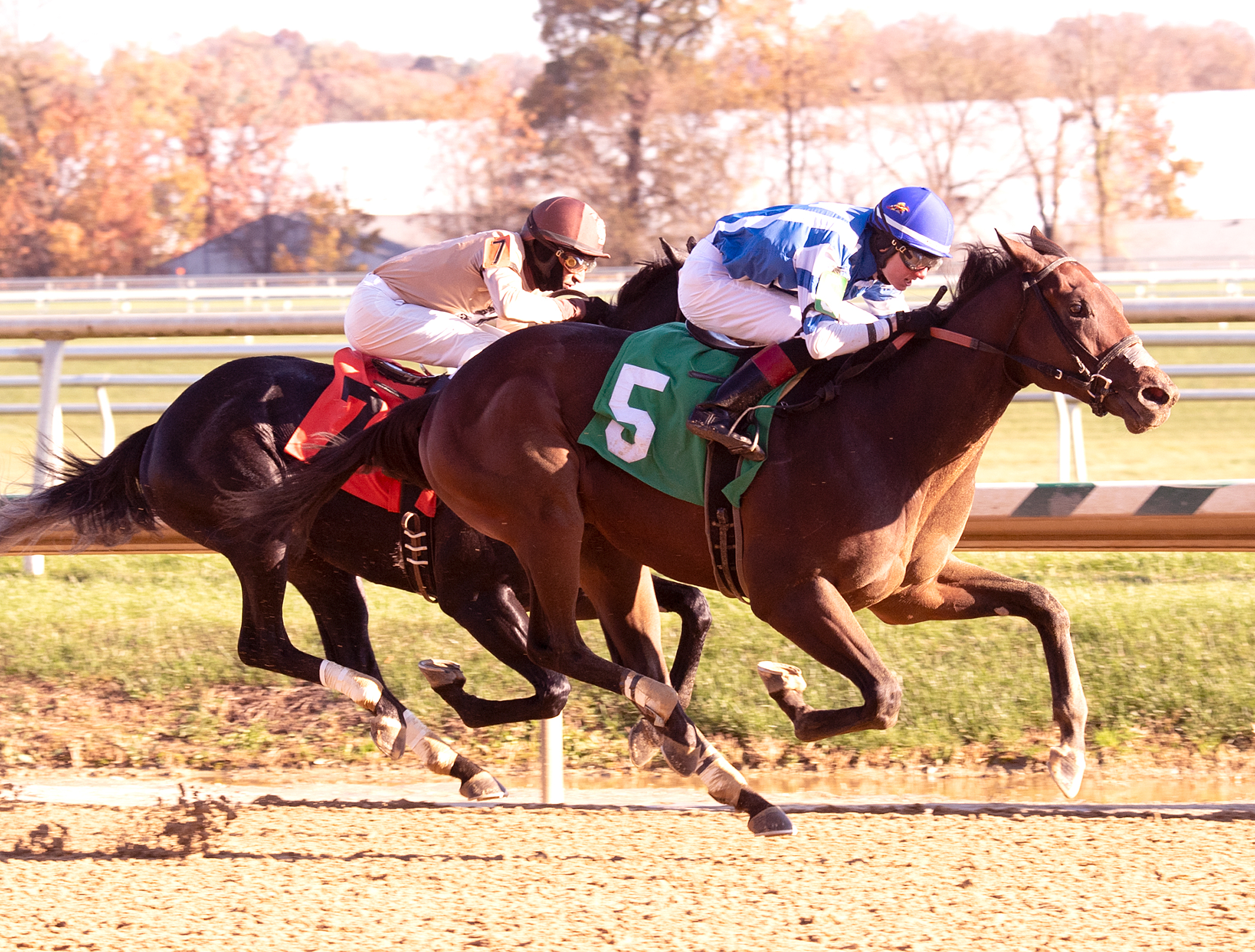 Scrap Copper (No. 5) wins the 2018 James F. Lewis Stakes
