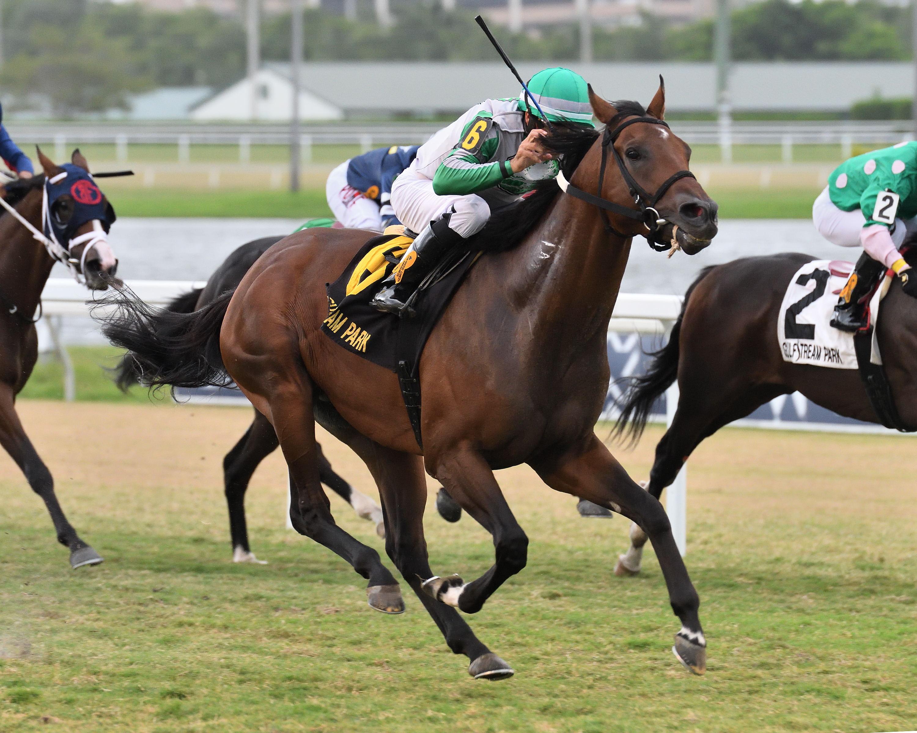 Scraps wins the 2019 Bear's Den Stakes at Gulfstream Park