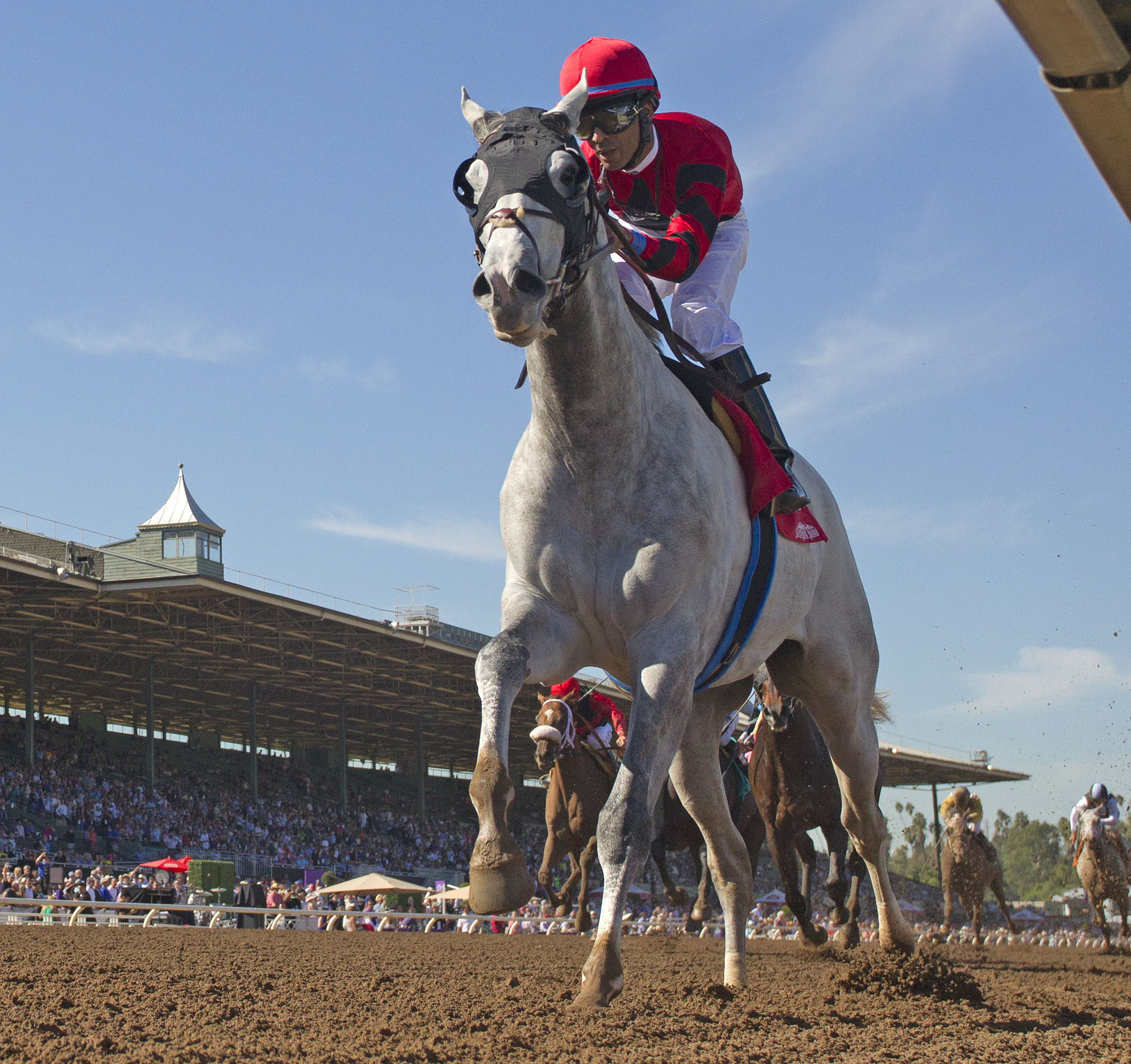 Scuba wins the Marathon Stakes