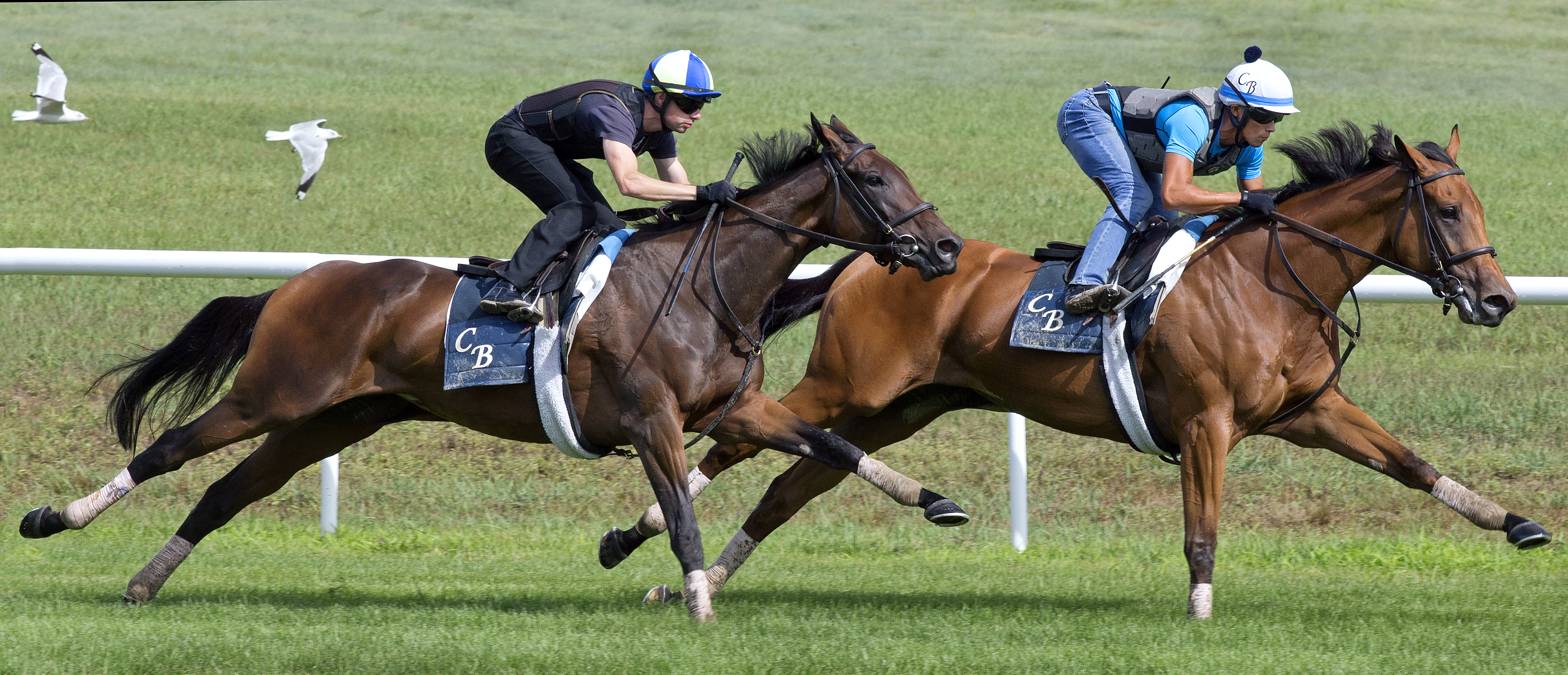 Lady Eli works with Sea Calisi on Aug. 1