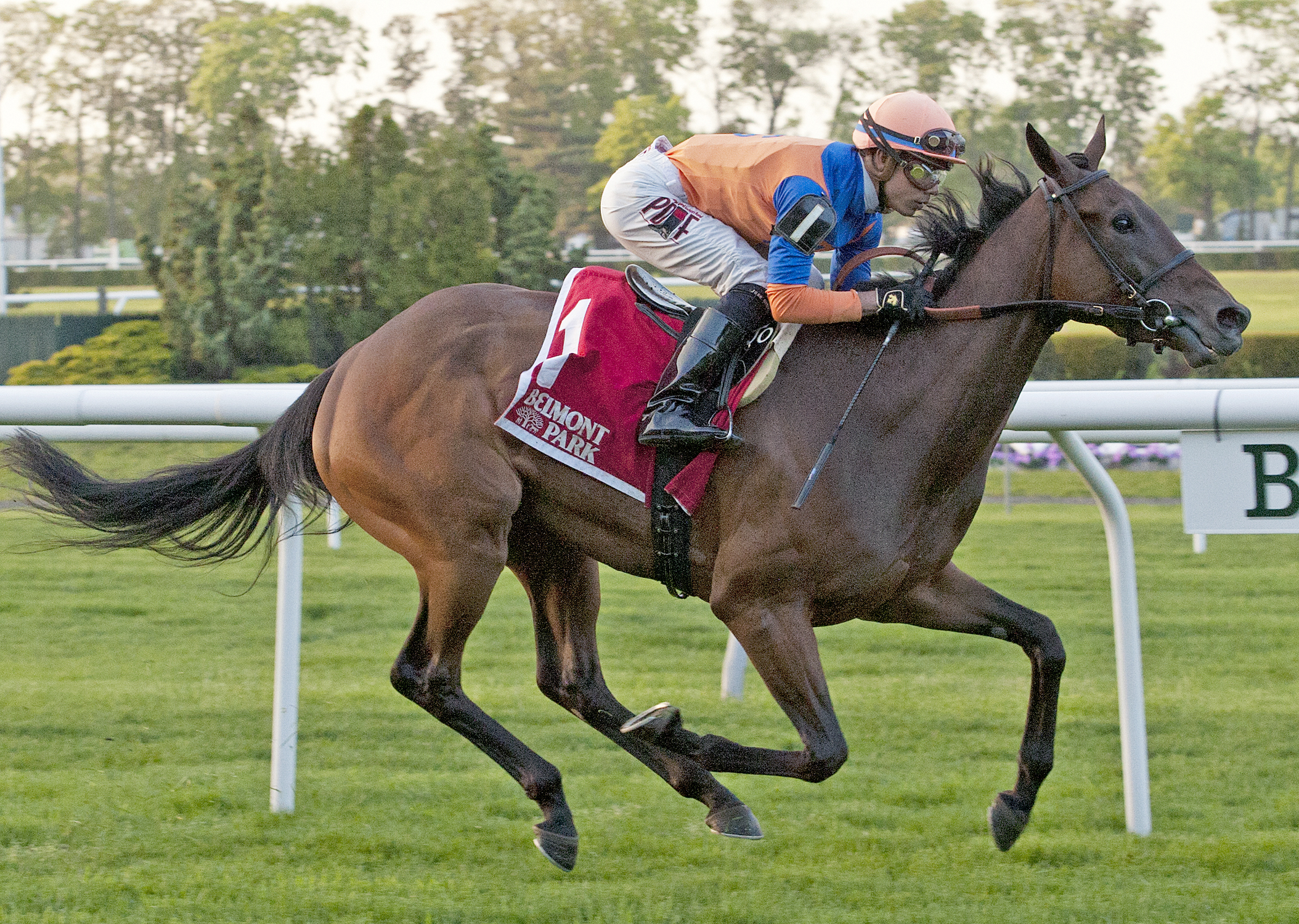 Sea Calisi wins the Sheepshead Bay