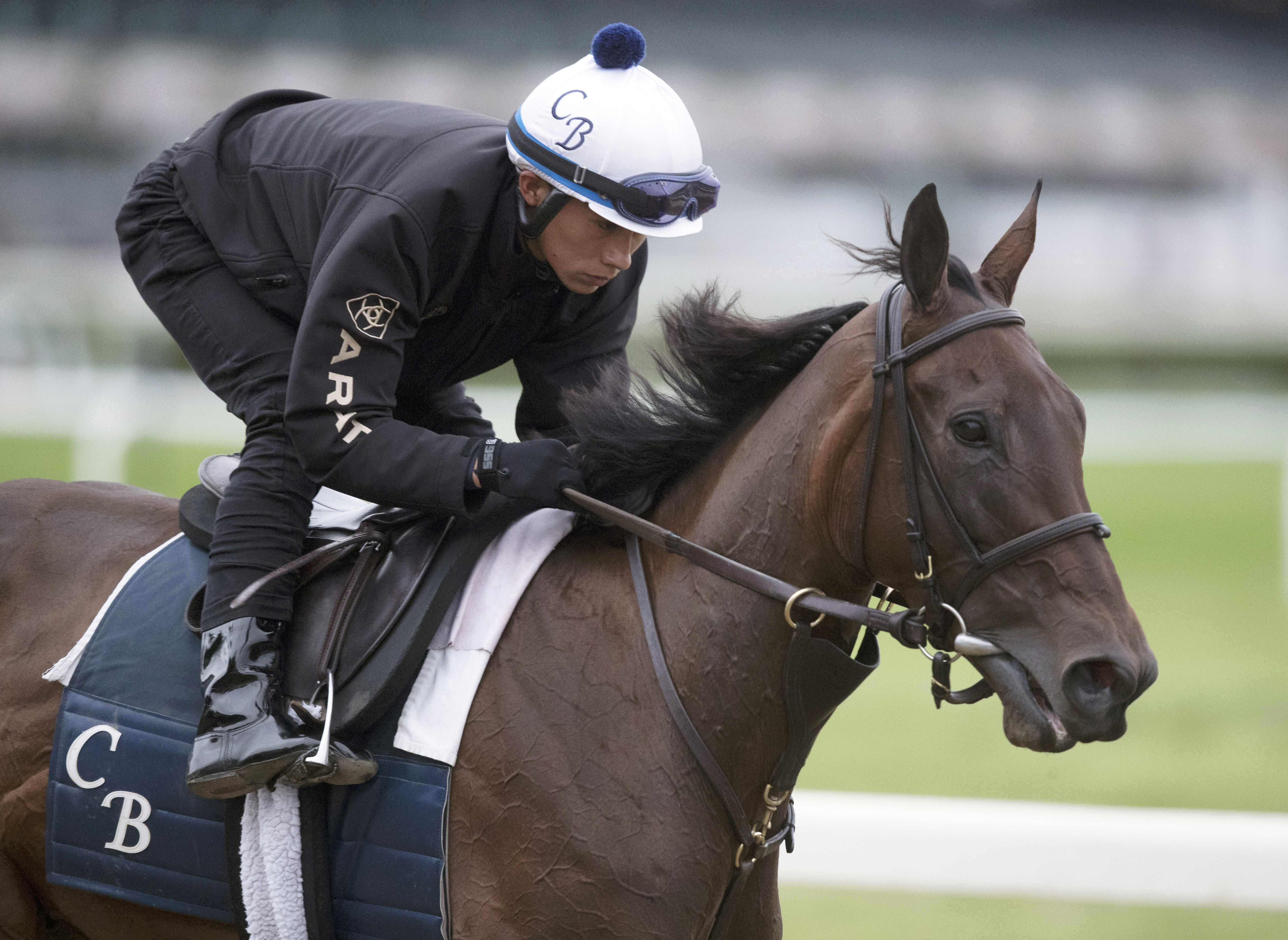 Sea Calisi trains at Belmont Park on June 6