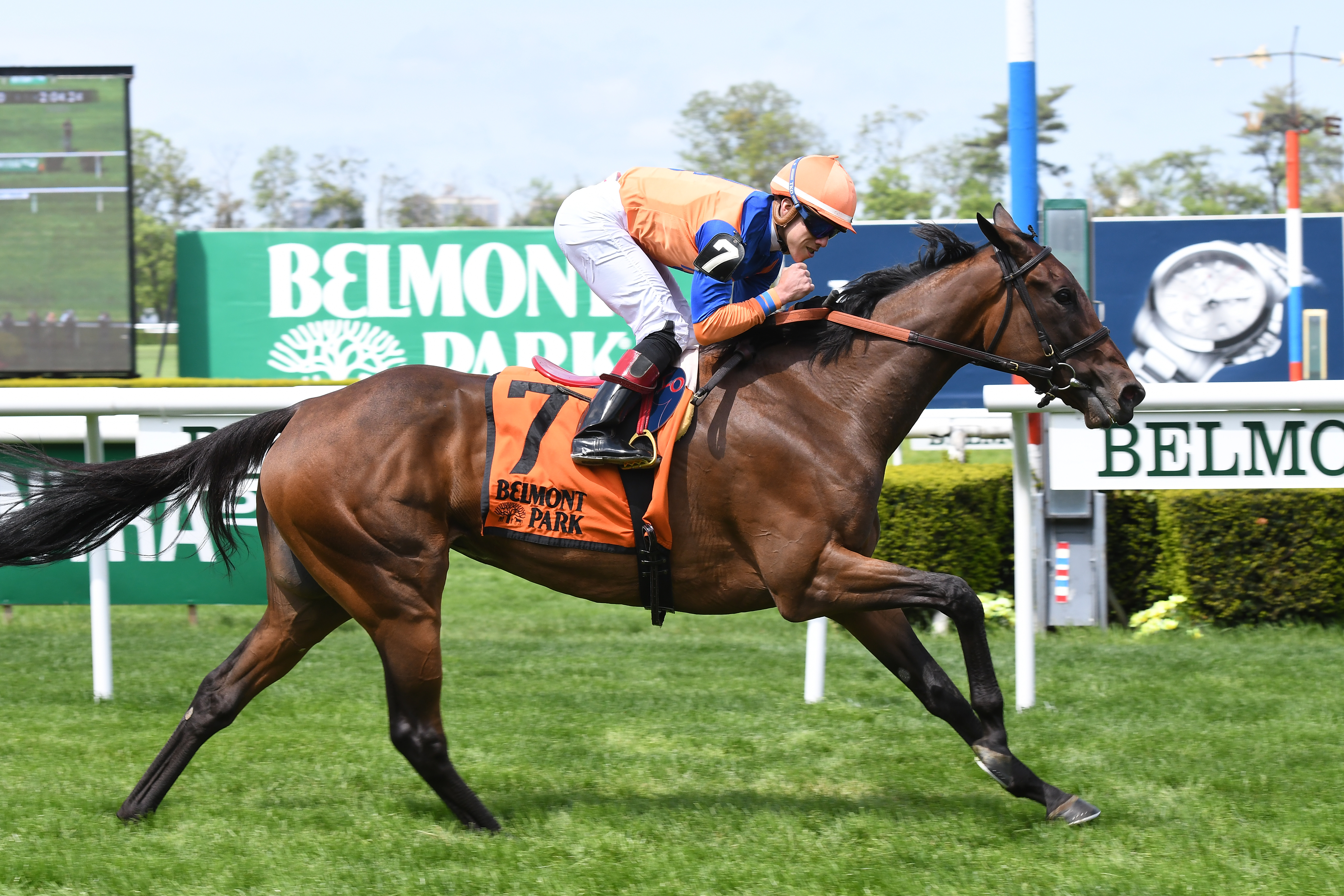 Sea Calisi wins the Sheepshead Bay Stakes