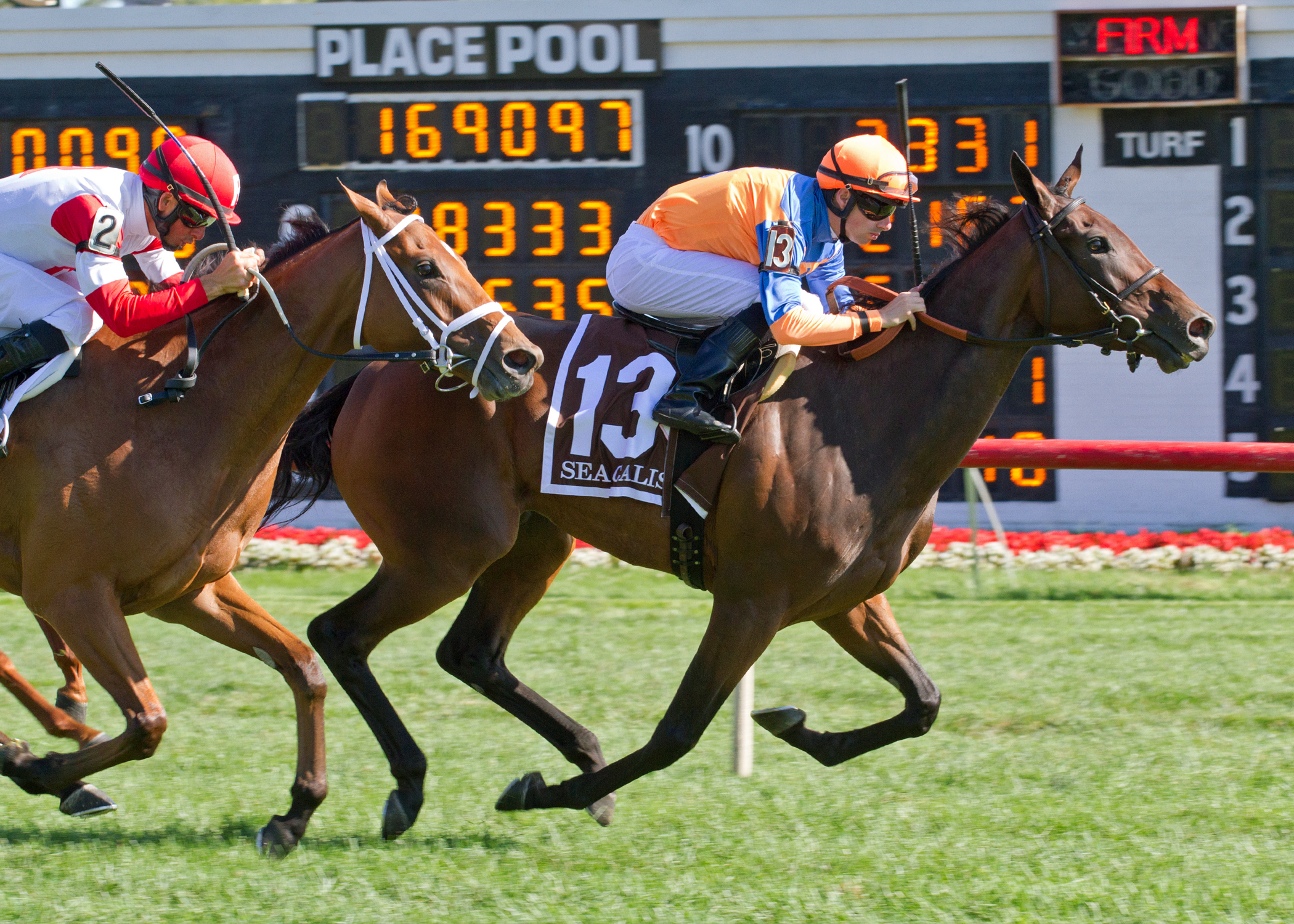 Sea Calisi wins the 2016 Beverly D Stakes
