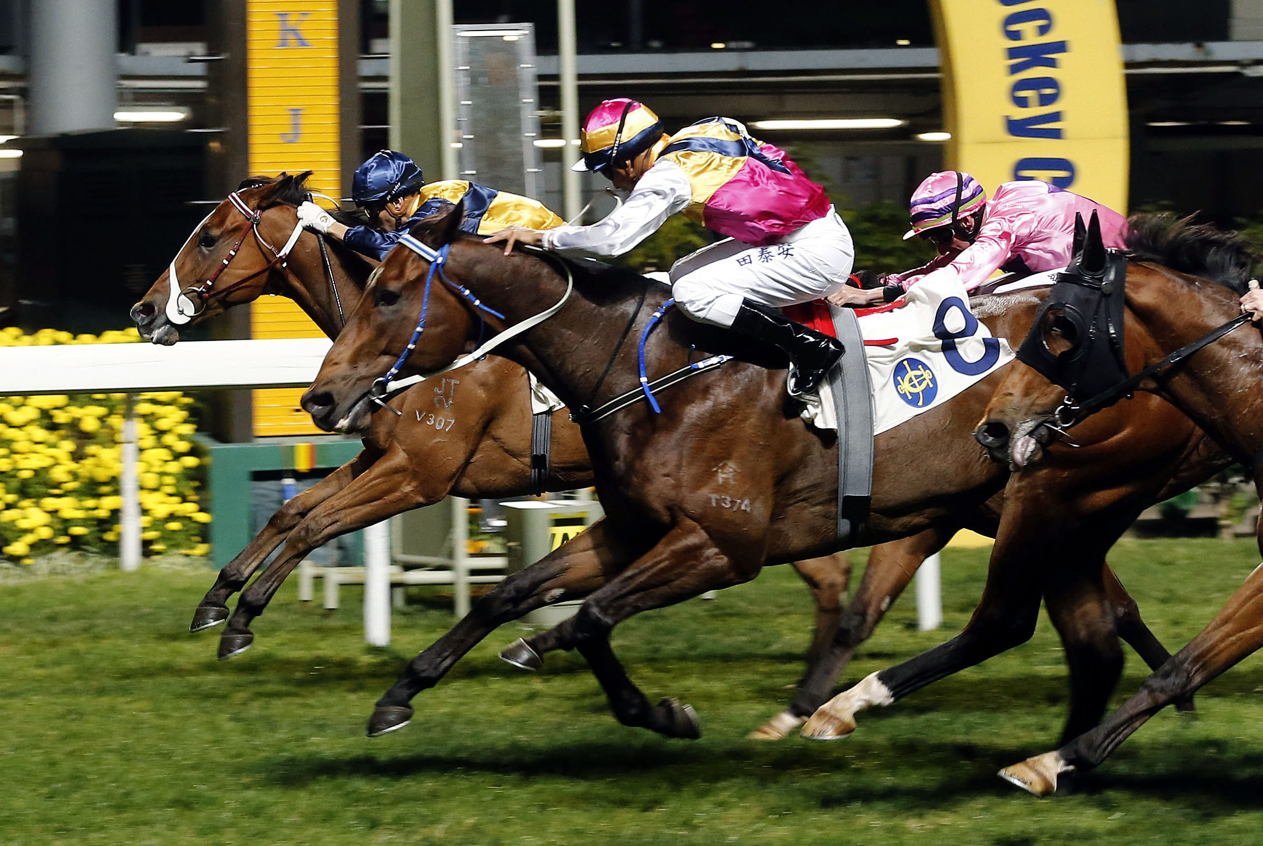 Sea Jade and Blocker Dee dead heat in a Class 1 race on Feb. 15