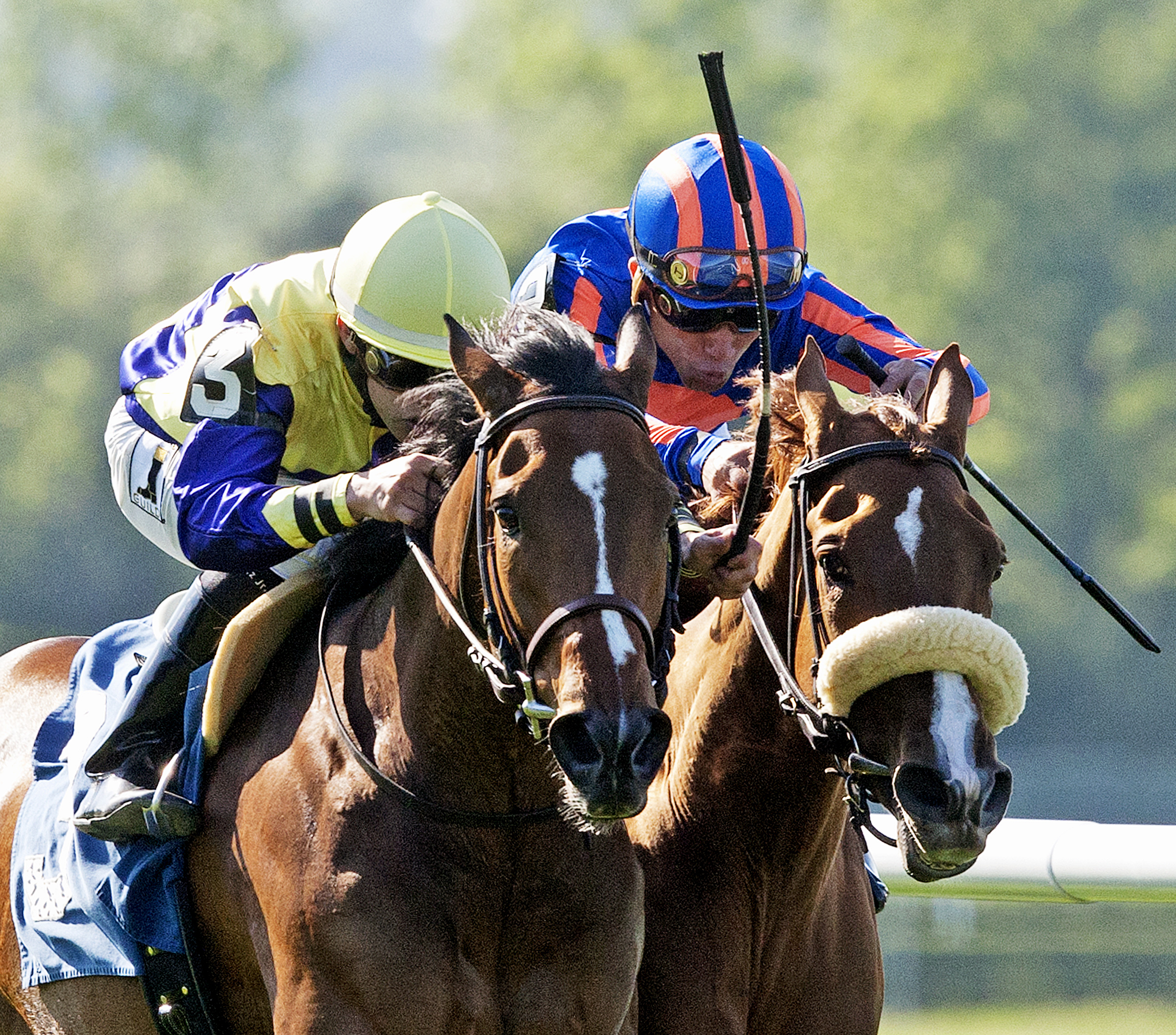 Sea Queen wins the Wonder Again