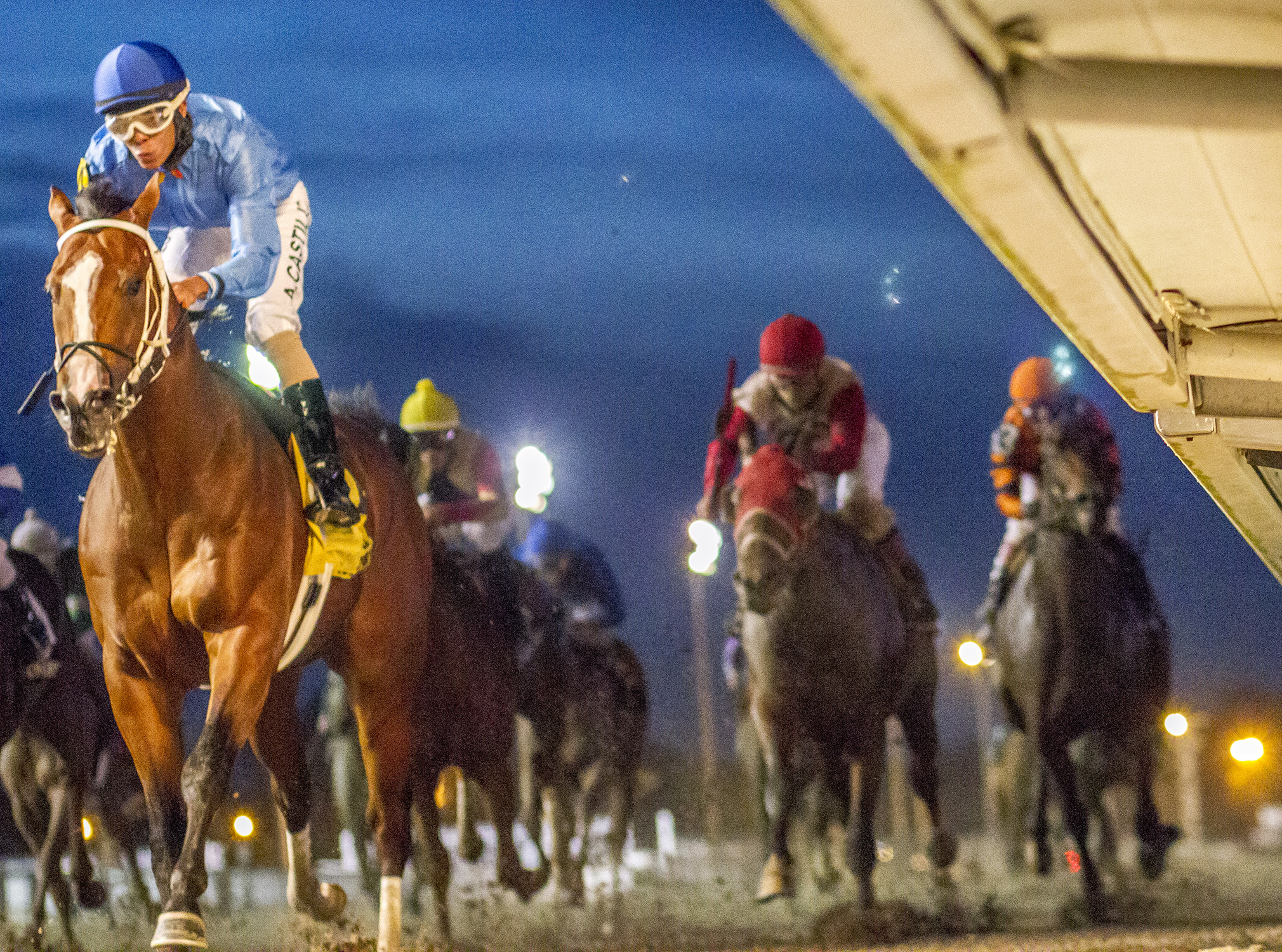Sea Vow wins the Louisiana Champions Day Juvenile Stakes