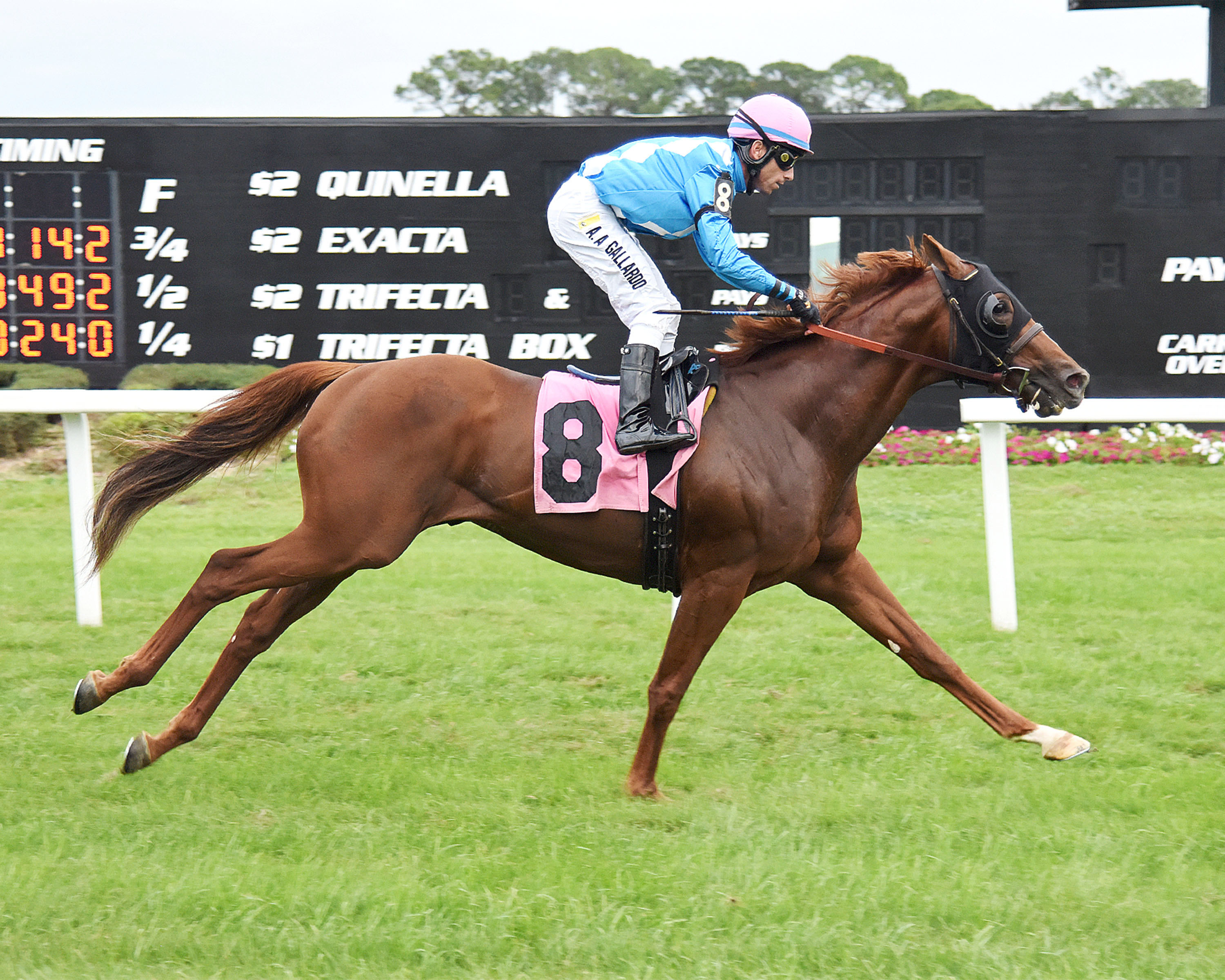 Sea of Erin wins a maiden race