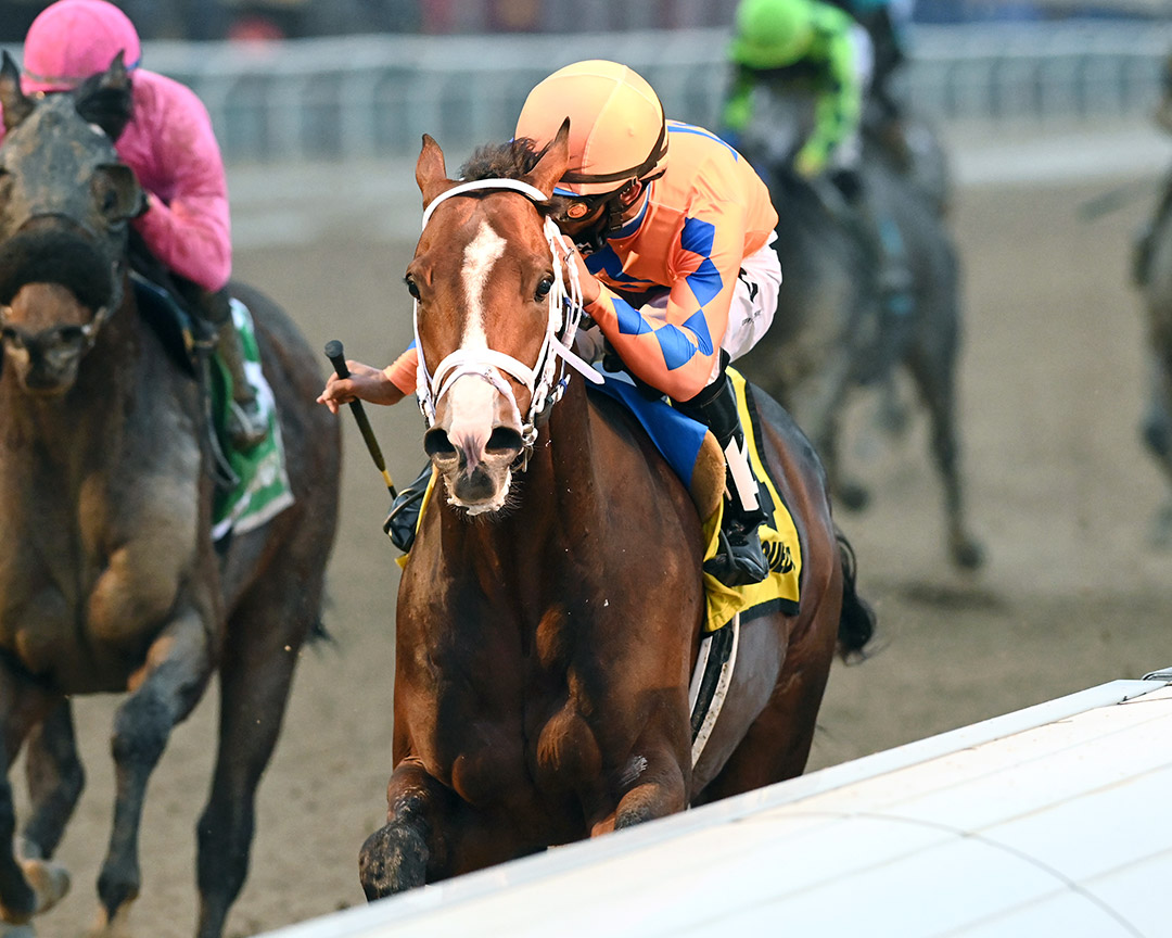Sea Foam wins the 2021 Alex M. Robb Stakes at Aqueduct