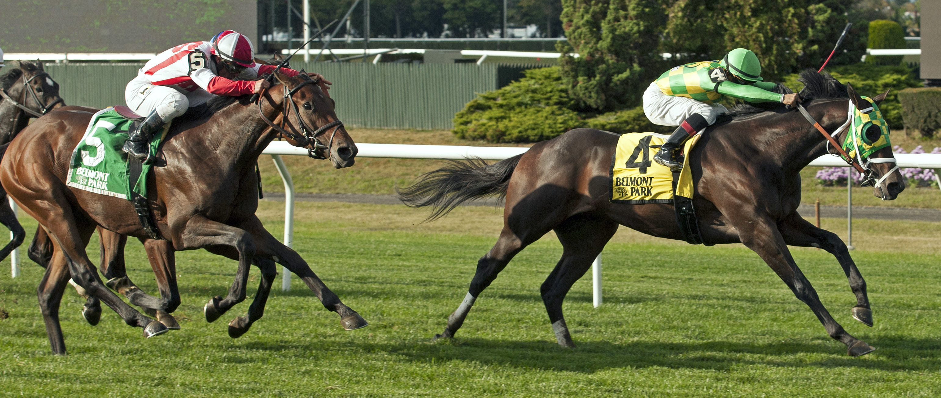 Seabhac wins the 2017 Pilgrim Stakes-MAO