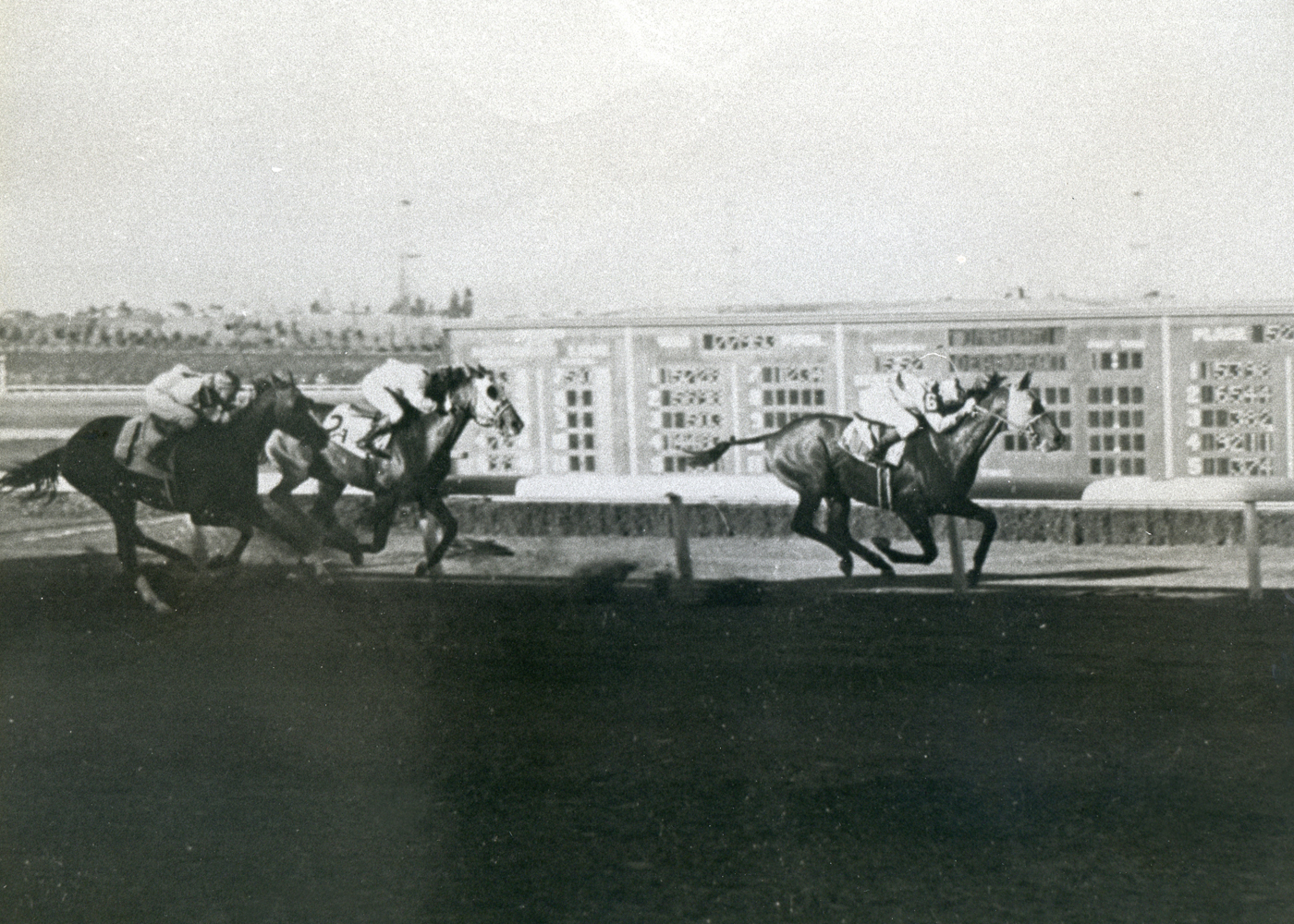 Seabiscuit